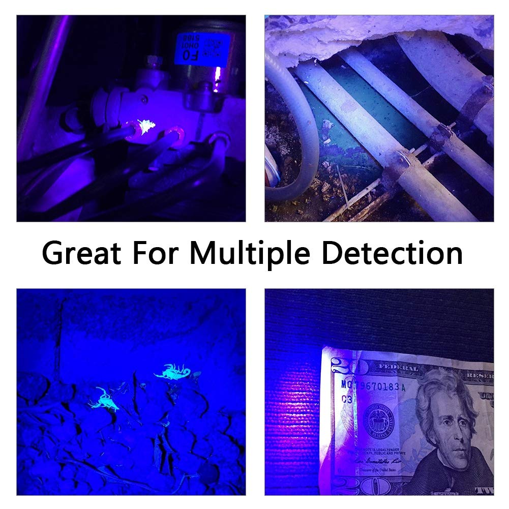 Headerbs Flashlights, 51 Led Torch Scorpion Detector Hunter Ultra Violet Blacklight Flashlight