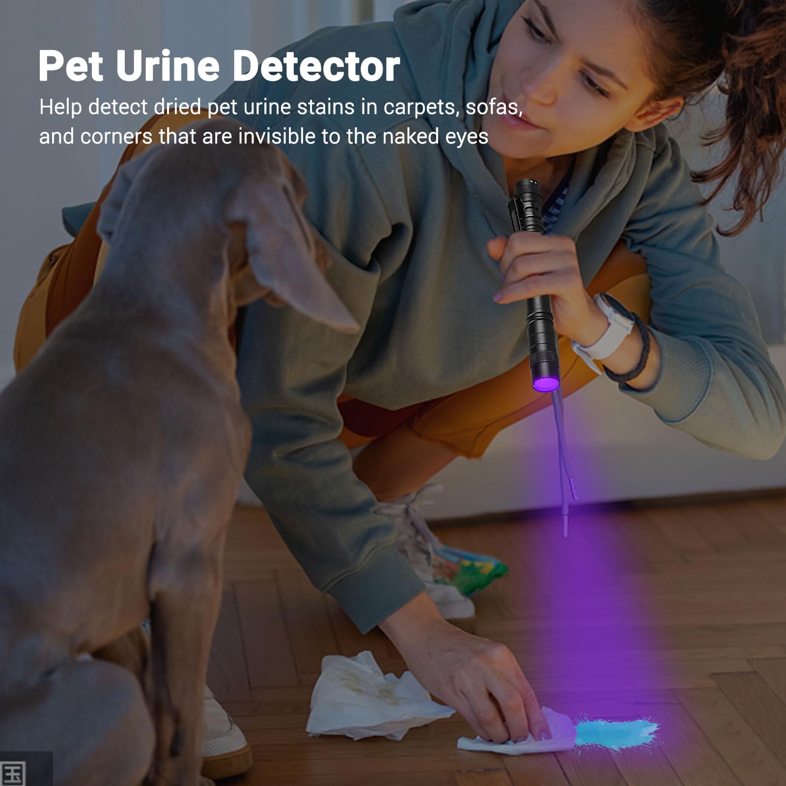 Moipejo Uv Black Light Flashlight Mini, 395Nm Pen Light With Clip, Ultraviolet Blacklight For Pet Urine Detection, Waterproof Detector Light For Dry Stains, Bed Bug, Scorpion, Hotel Inspection