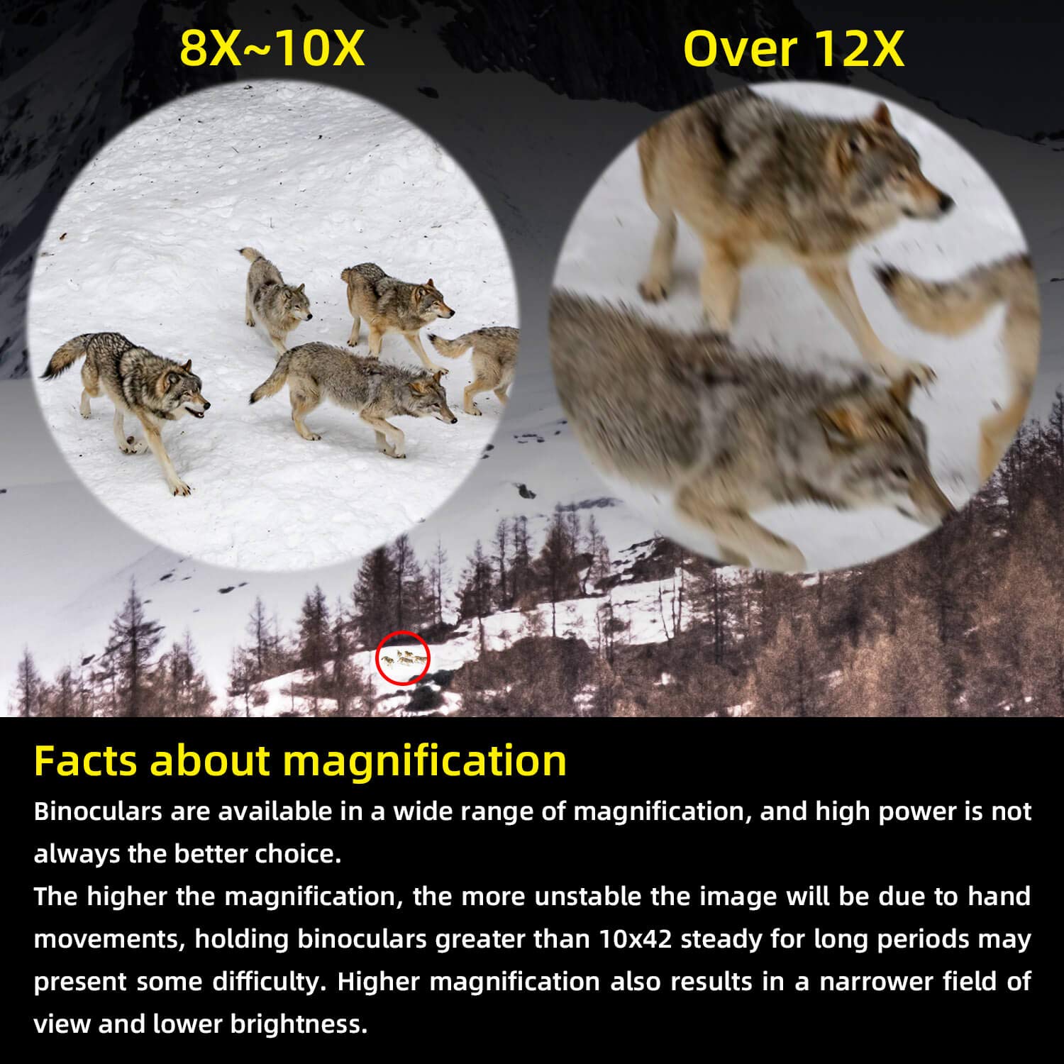 Eyeskey Dreamer Bird Watching Binoculars For Adults Compact  Waterproof Fog Proof Binoculars For Outdoor Games Hunting  Clear Low-Light Vision  Wide Field Of View  Professional Sports Optics