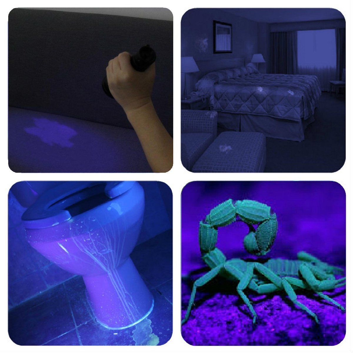 Vansky Uv Flashlight Black Light 51 Led & 51 Led Blacklight Pet Urine Detector For Dog/Cat Urine,Dry Stains,Bed Bug, Matching With Pet Odor Eliminator