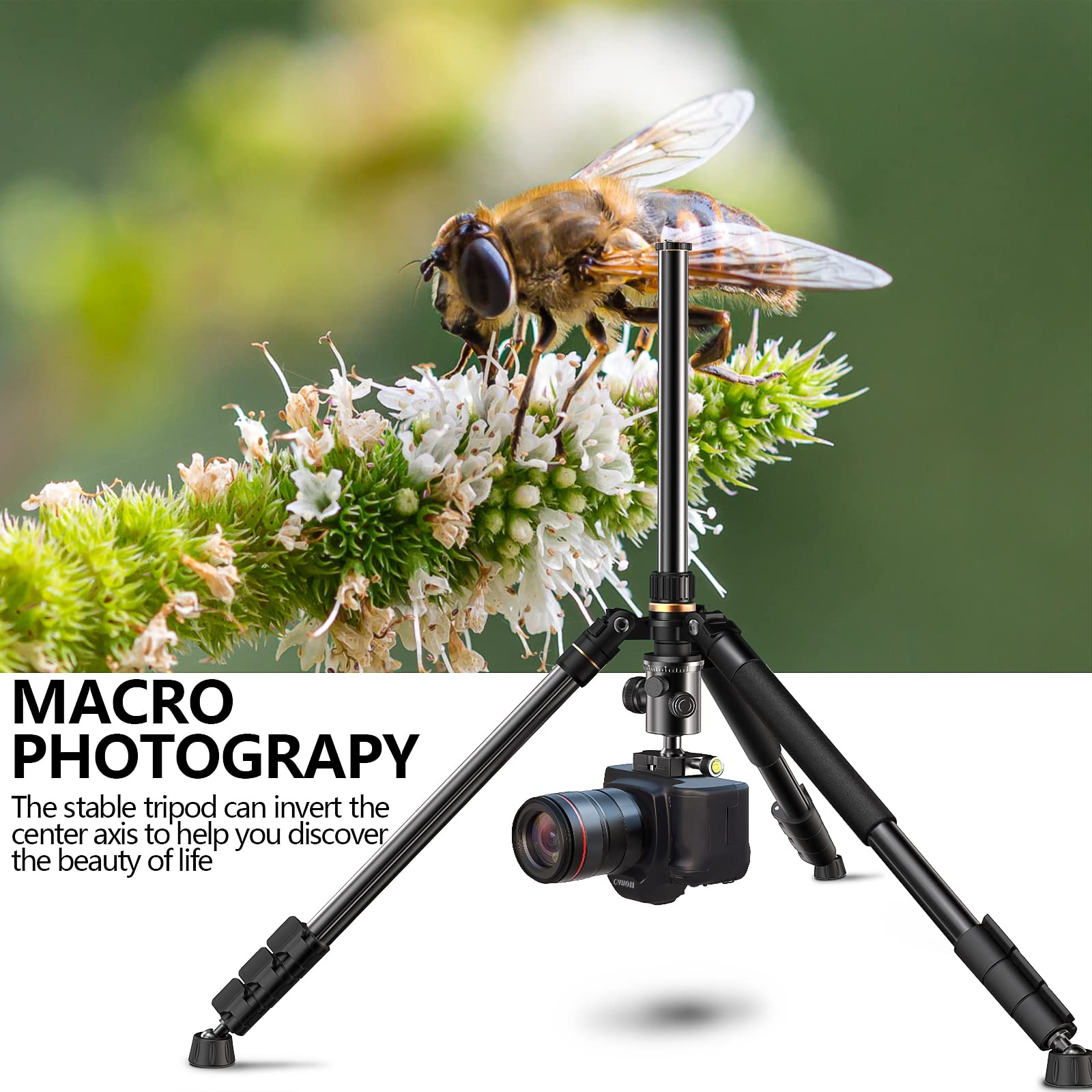 Nianyiso 77” Dslr Camera Tripod For Travel - Compact Tripod For Camera, Professional Tripods With 36Mm 360 Degree Ball Head, Lightweight Aluminum Camera Tripods & Monopods Load Up To 33 Lbs