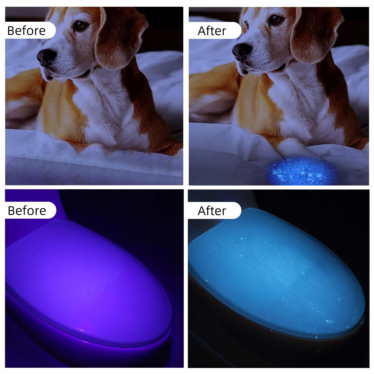 Collgene Uv Flashlight Black Light, 100 Led (390 Nm) Portable Uv Light For Pet Urine Detection, Dry Stains, Bed Bugs