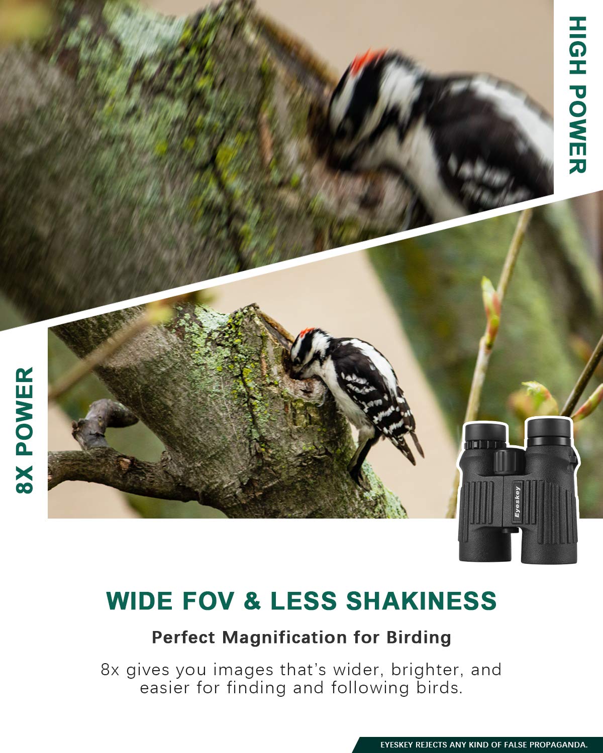 Eyeskey Professional 8X42 Binoculars Waterproof Fogproof For Adults Bird Watching Hunting Backpacking - Clear Bright Image - Wide Field Of View - Eay To Focus - Perfect For The Outdoors