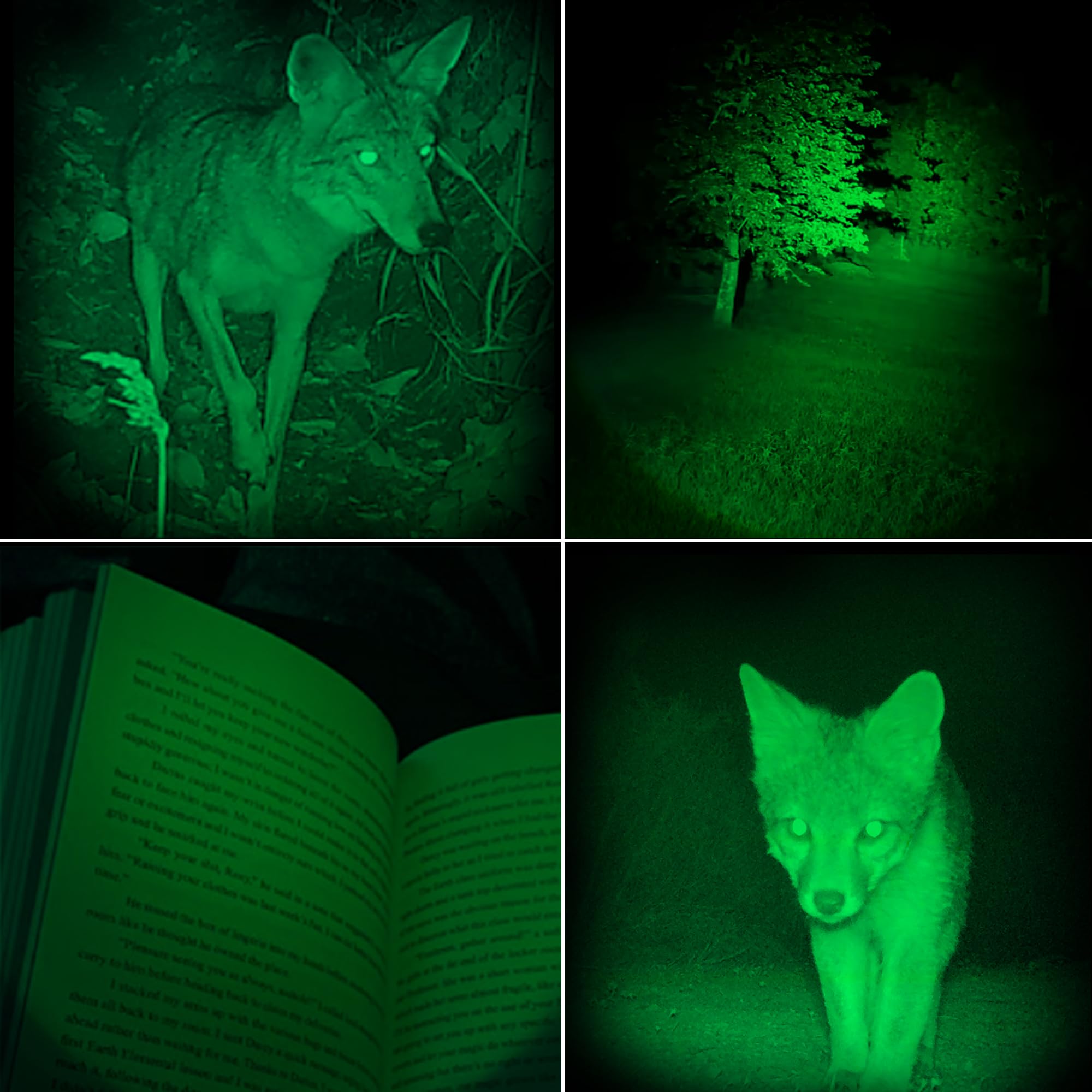 Xinfeibei Green Led Flashlight, Single Mode Mini Green Flashlight, Hunting Light 1 Mode Green Flashlight For Night Watch Outdoor Adventures (1)