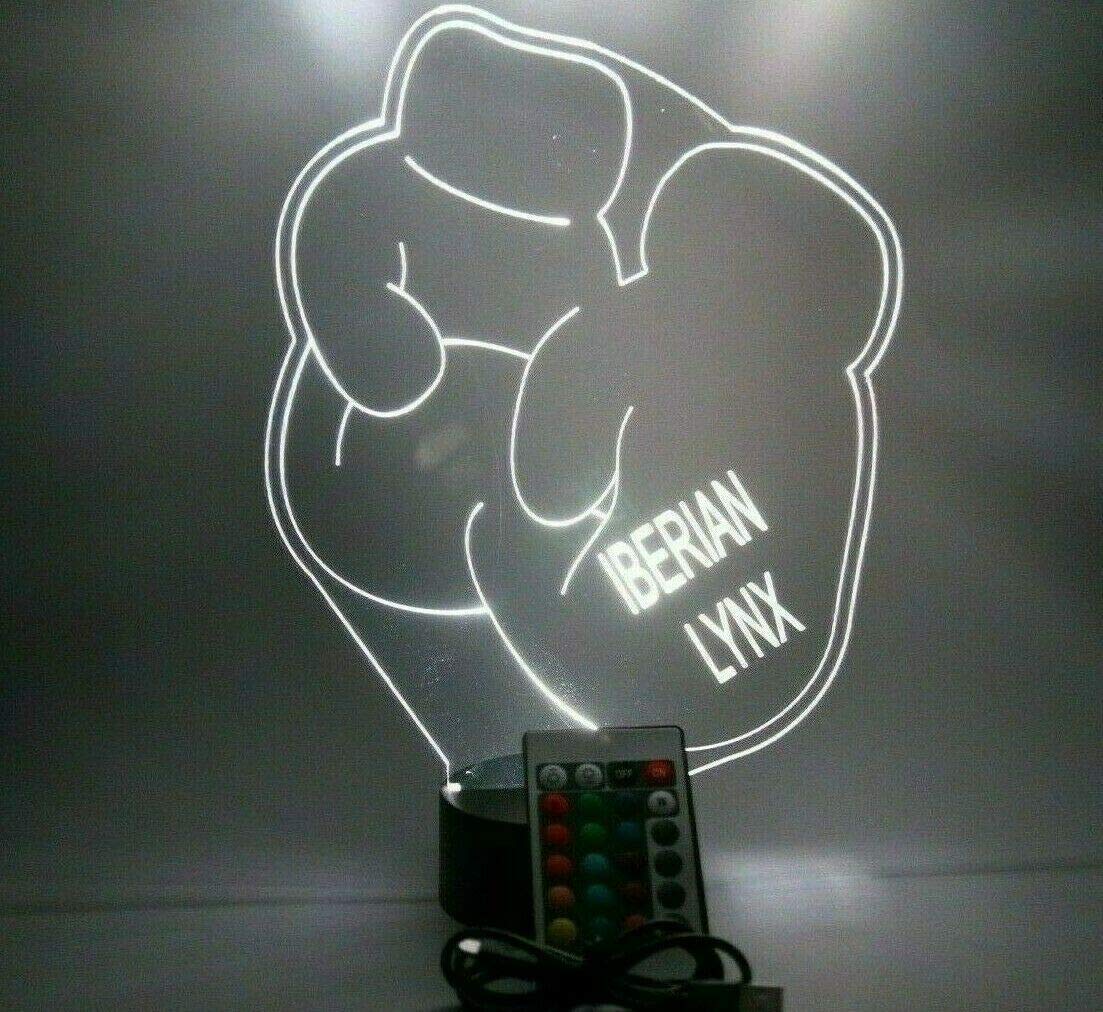 Mirror Mania Sports And Martial Art Ring Boxing Gloves Light Up Light Table Lamp Led Engraved Custom Name Personalized, 16 Color Options With Remote, Boxer