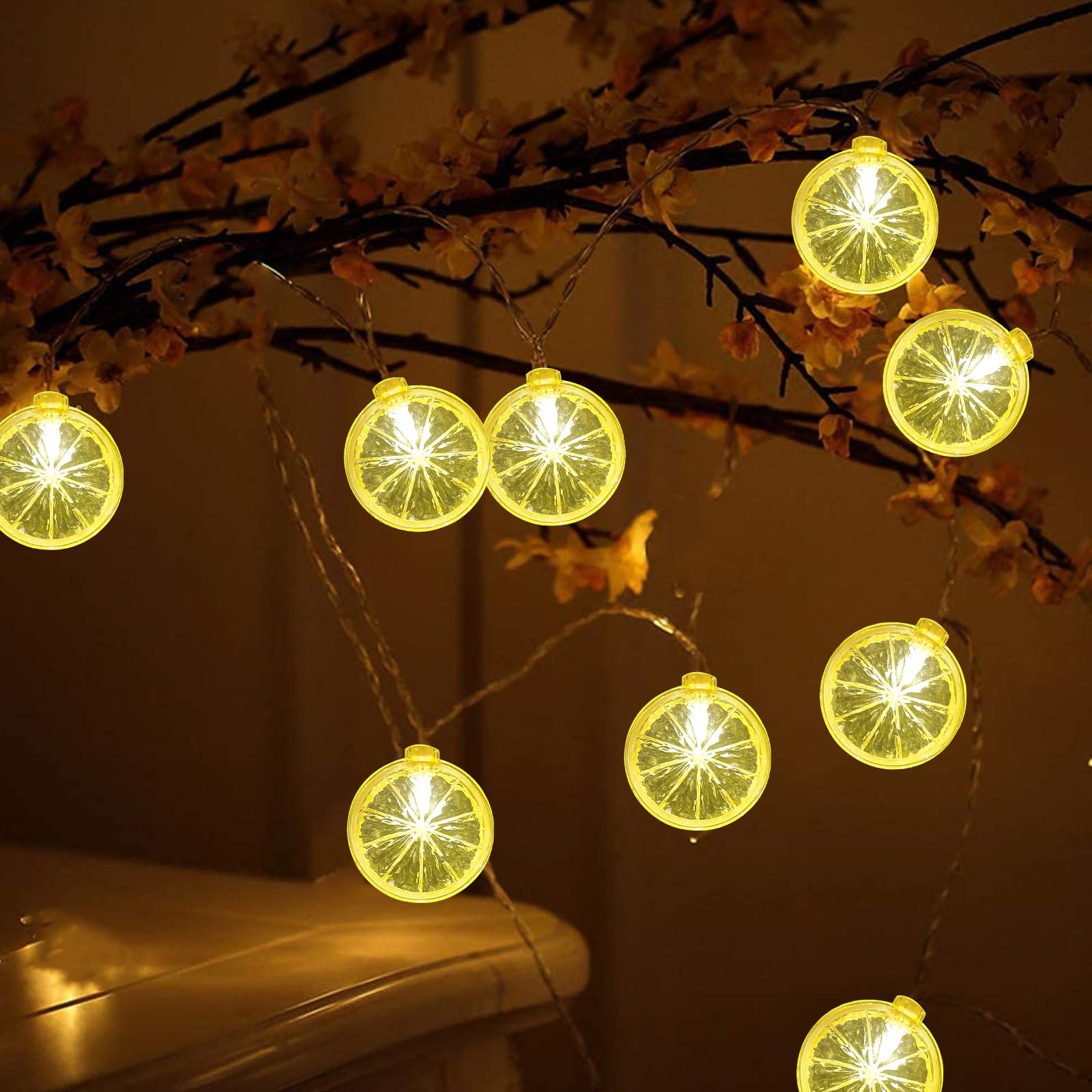 Abeja Lemon Decor String Light, 8.5Ft Lemon Fairy String Lights With 10 Lemon Slice Lights Plug In Lemon String Lights For Home Wedding Birthday Party Garden Decor
