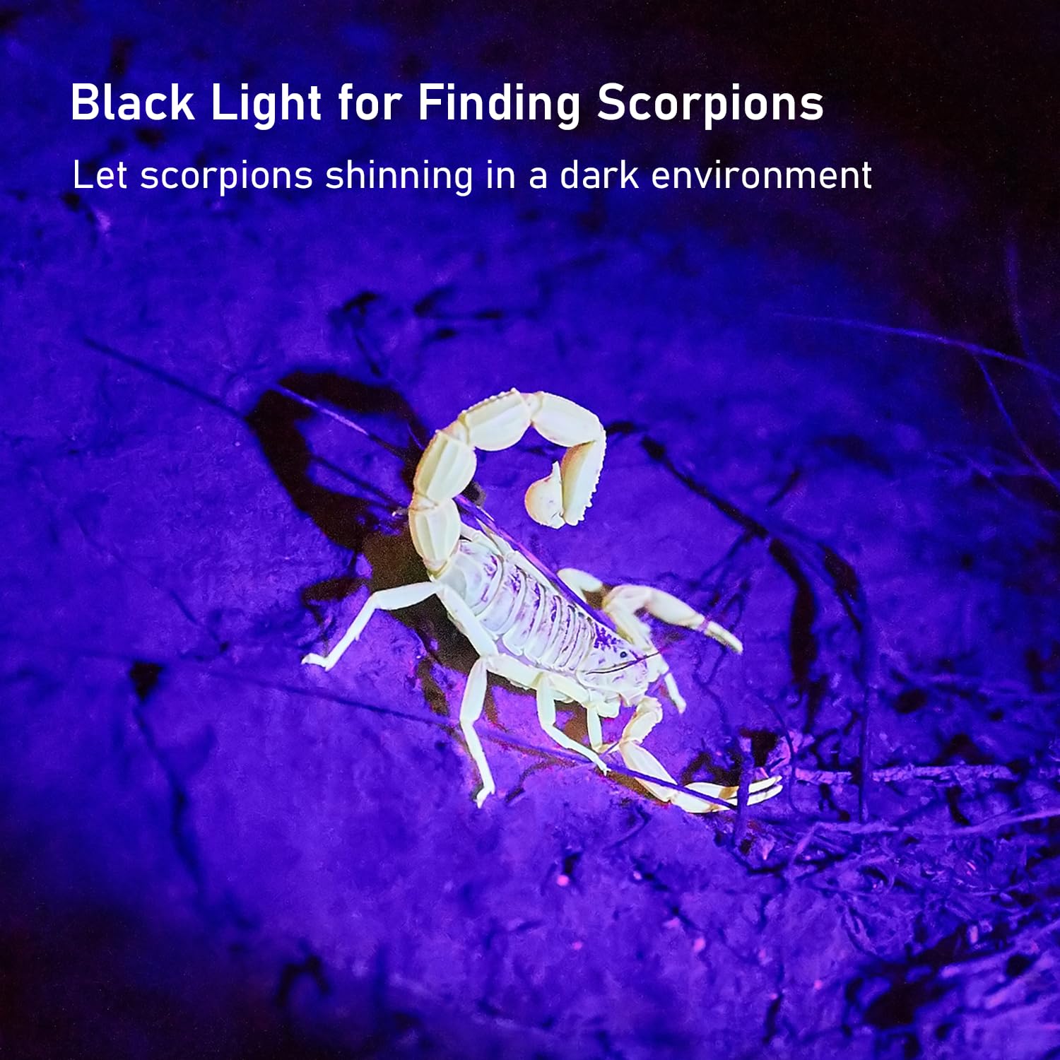 Glossday Blacklight Flashlight,128 Led Uv Flashlights,  Bright Ultraviolet Flashlight Professional Black Light For Dog/Cat, Hunting Scorpions