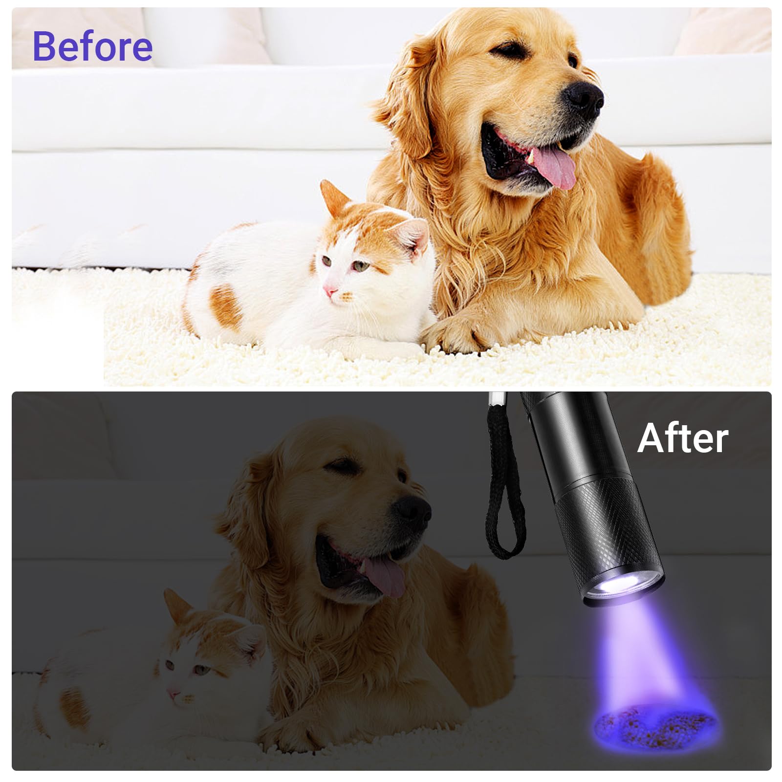 Affbei 12 Pieces Uv Blacklight Flashlights Purple Light, Led Light, Handheld, Portable Uv Flashlight Torch For Pets Stains Urine For Dog/Cat, Dry Stains,Resin Curing,Bed Bug