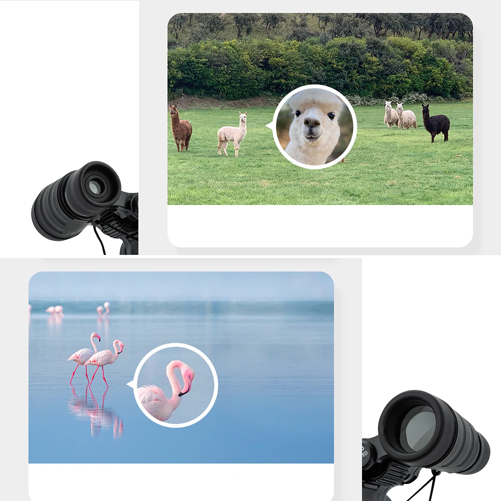 Ouxia Kid Binoculars Best  For 3-12 Years Boys Girls Shock Proof Toy Binoculars For Bird Watching