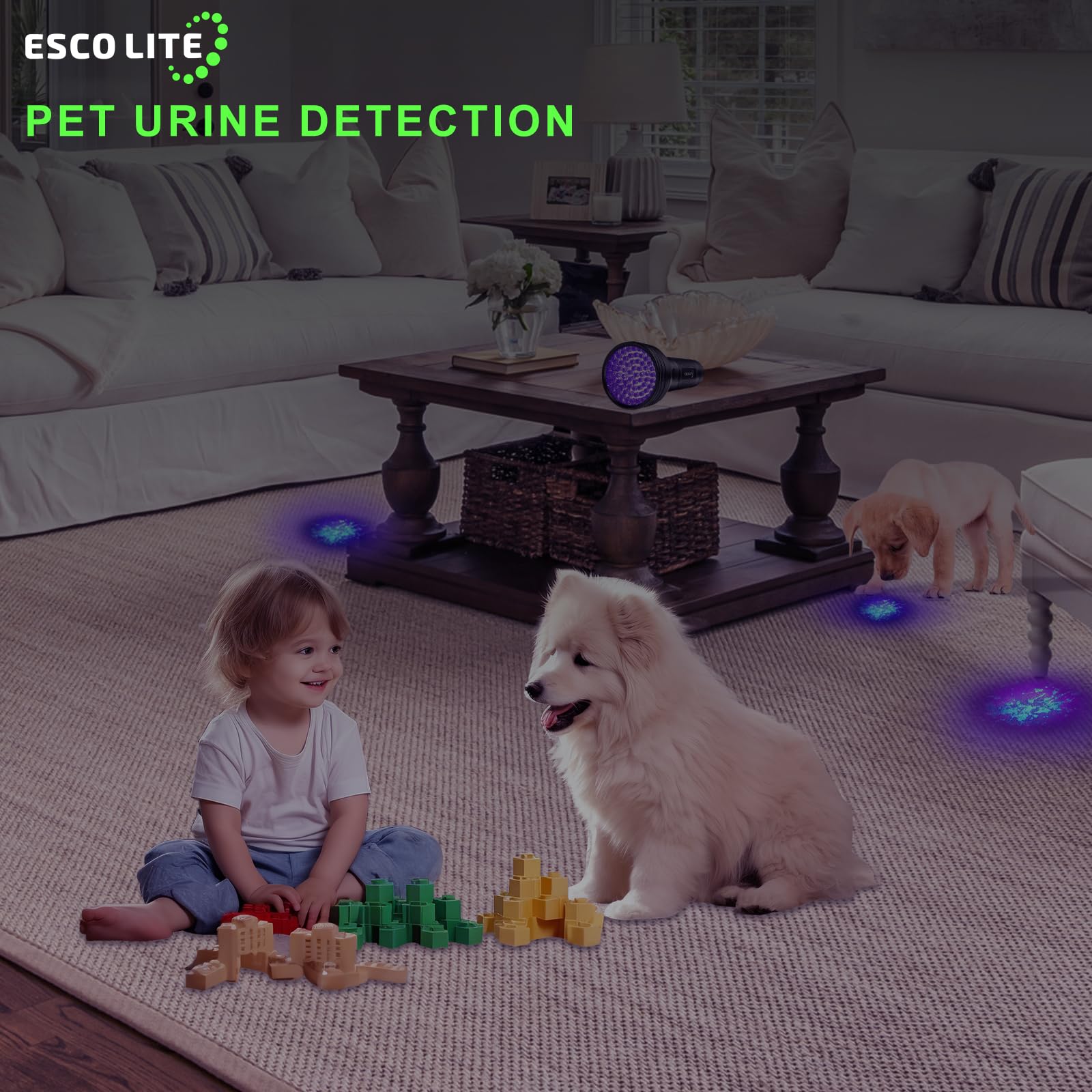 Esco Lite 51 Led Uv Flashlight Black Light And Uv Protection Safety Glasses To Detect Pet Urine, Find Scorpions, And House Clean
