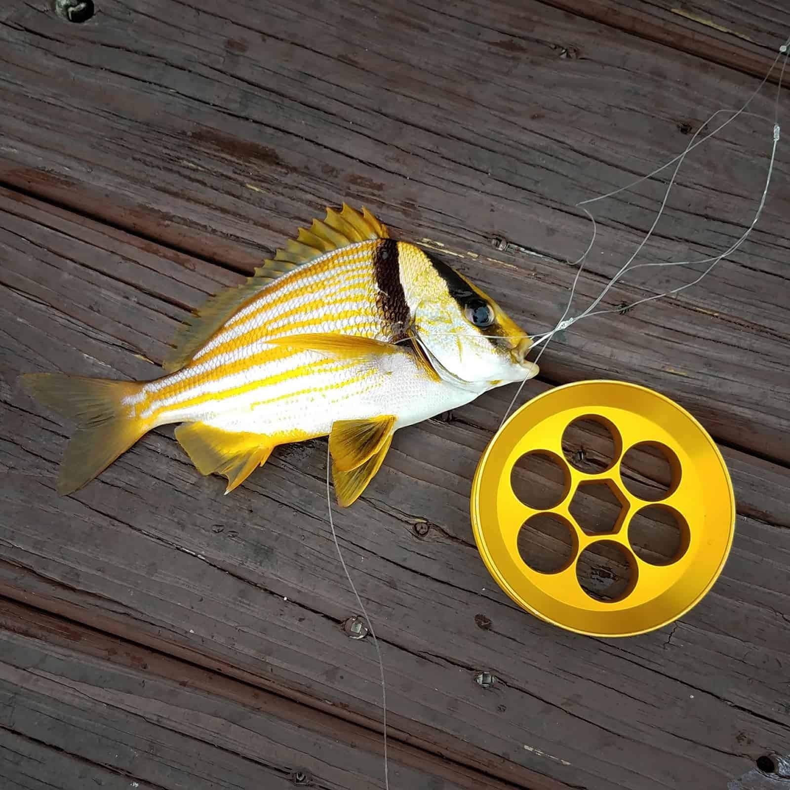 Yoyito Aluminum Fishing Hand Line Reel Pocket/Travel