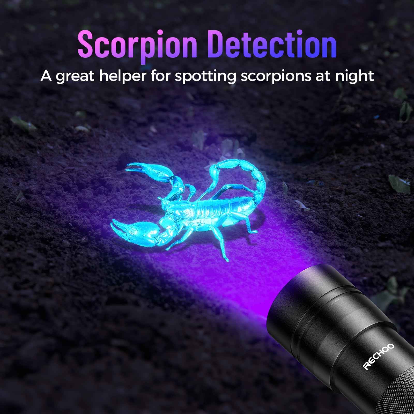 Rechoo Black Light Uv Flashlight 2 Pack, 12 Led 395Nm Uv Flashlight, Portable Mini Uv Light Waterproof, Blacklight For Pet Urine Detection, Dry Stains, Bed Bug, Fluorescent Agent (Batteries Not Included)