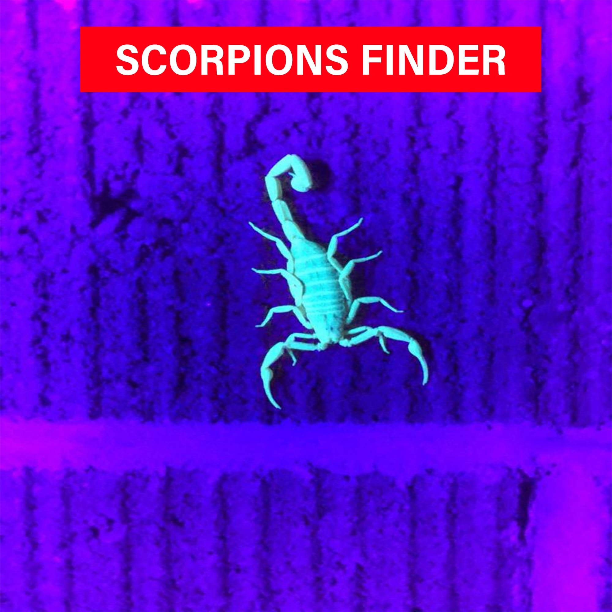 Fadomall Uv Flashlight 365Nm & 395Nm Ultraviolet Black Light Flashlights For Pet Urine Stains, Scorpions Detection, Zoomable Led Blacklights For Resin Curing, Uranium Glass, Gas Leak Inspection