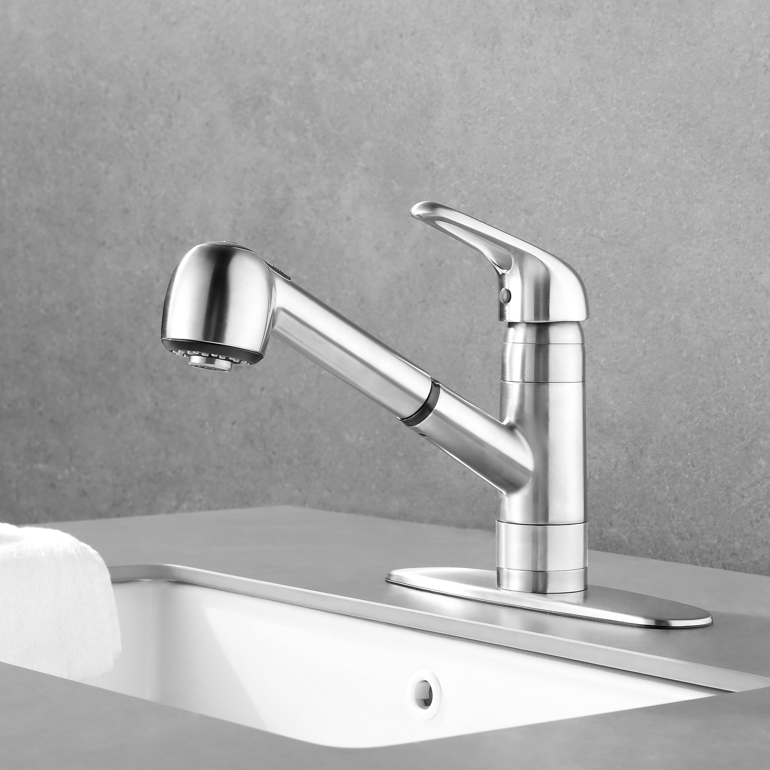 Derengge Stainless Steel 8 Inch Kitchen Sink Faucet,Single Handle Pull Out Kitchen Faucet With Deck Plate,1 Hole Or 3 Hole Installation,Kf-8125-Ss