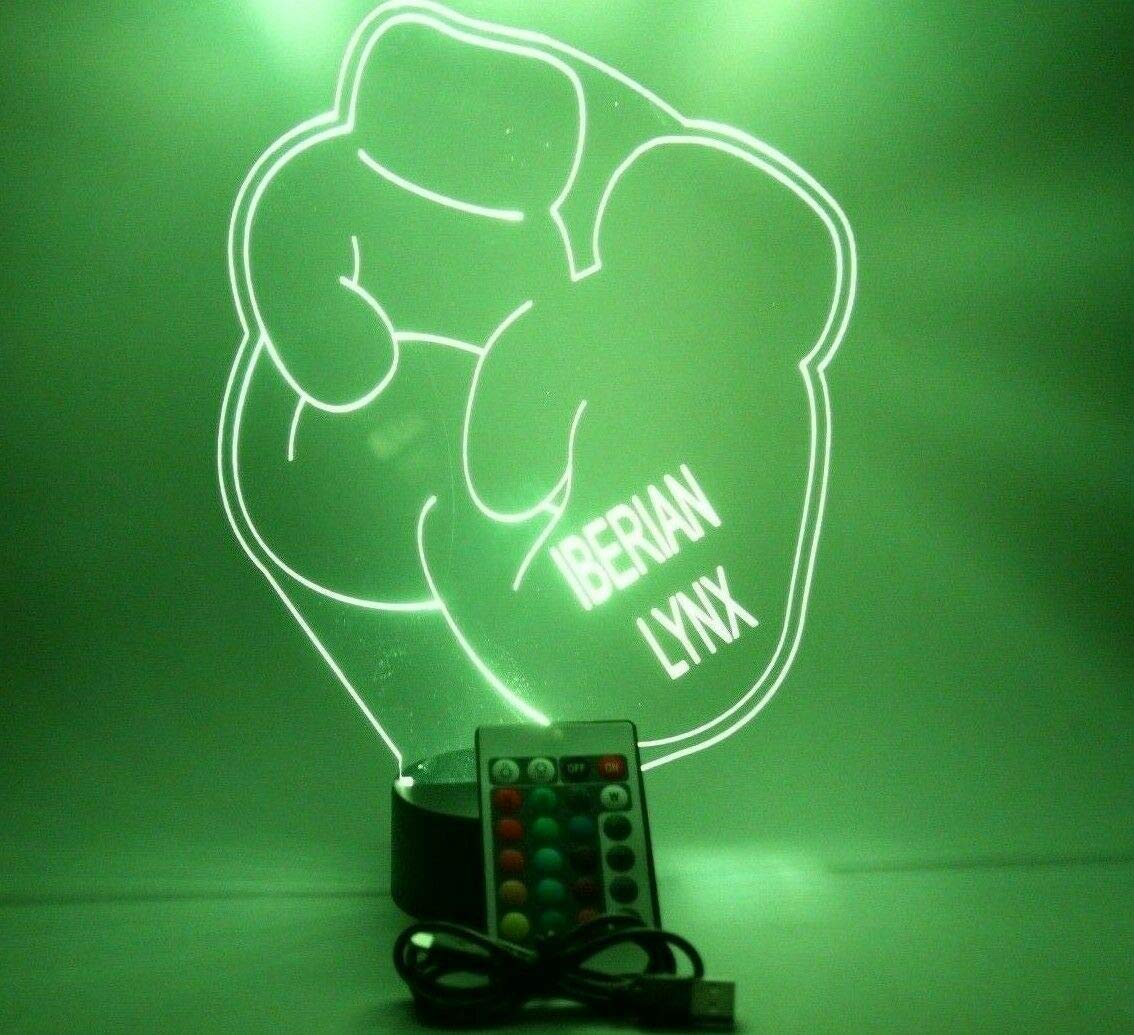 Mirror Mania Sports And Martial Art Ring Boxing Gloves Light Up Light Table Lamp Led Engraved Custom Name Personalized, 16 Color Options With Remote, Boxer