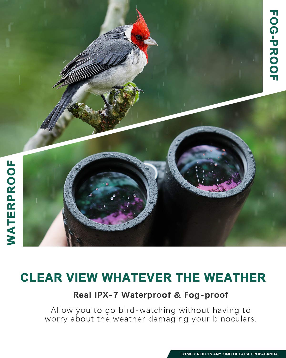 Eyeskey Professional 8X42 Binoculars Waterproof Fogproof For Adults Bird Watching Hunting Backpacking - Clear Bright Image - Wide Field Of View - Eay To Focus - Perfect For The Outdoors