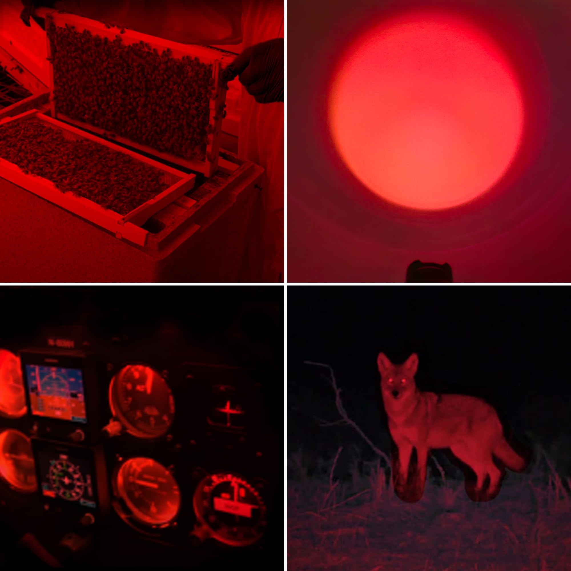 Naiveisland Red Light Flashlights, Single Mode Red Led Torch With Adjustable Focus For Astronomy, Aviation, Night Observation, And Outdoor Activities,3-Pack