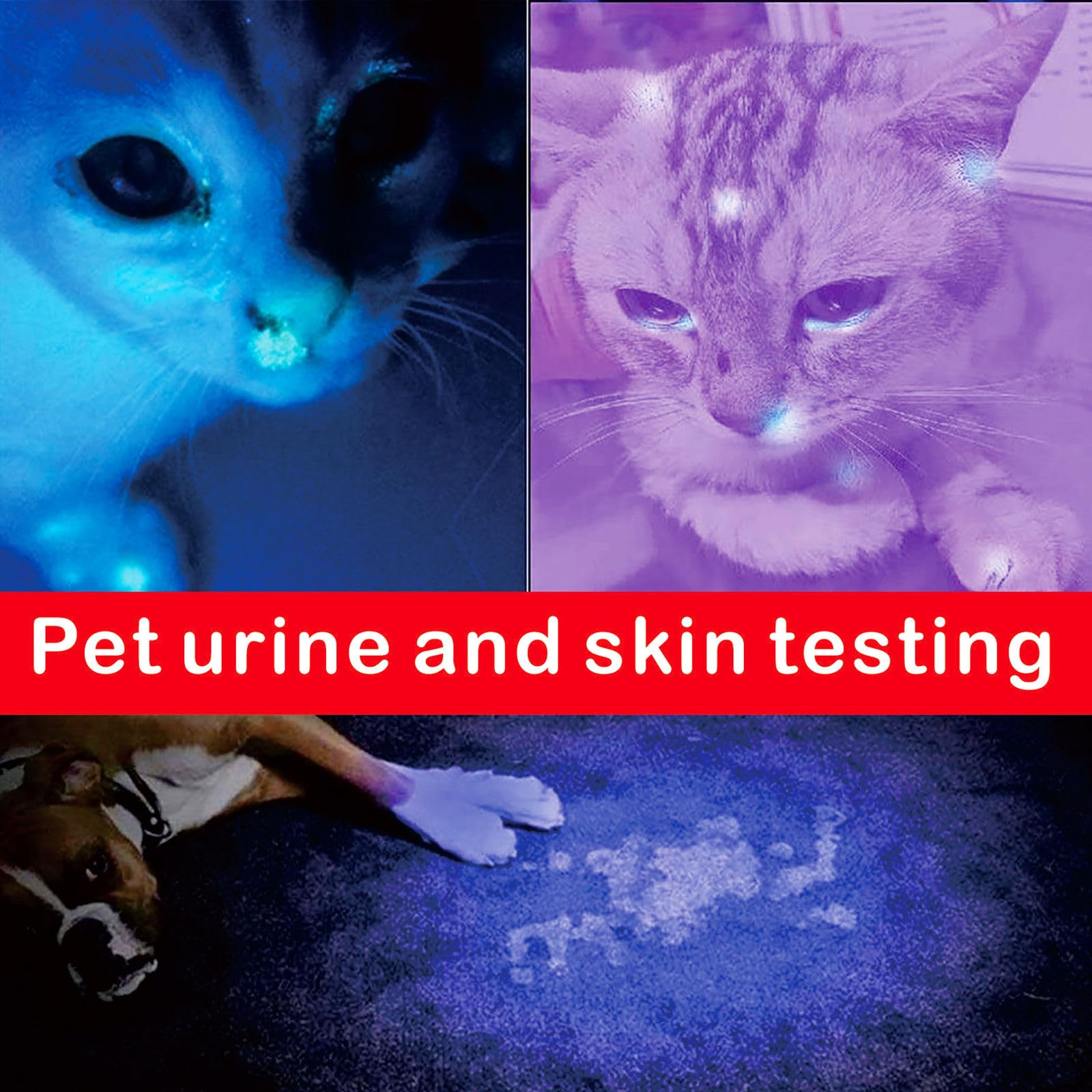 Leluohq Black Light, 365Nm Uv Flashlight, Portable Mini Black Light For Pet Urine Detection, Handheld Uv Flashlight For Resin, Pet Urine, Nails, Money - Pack Of 2