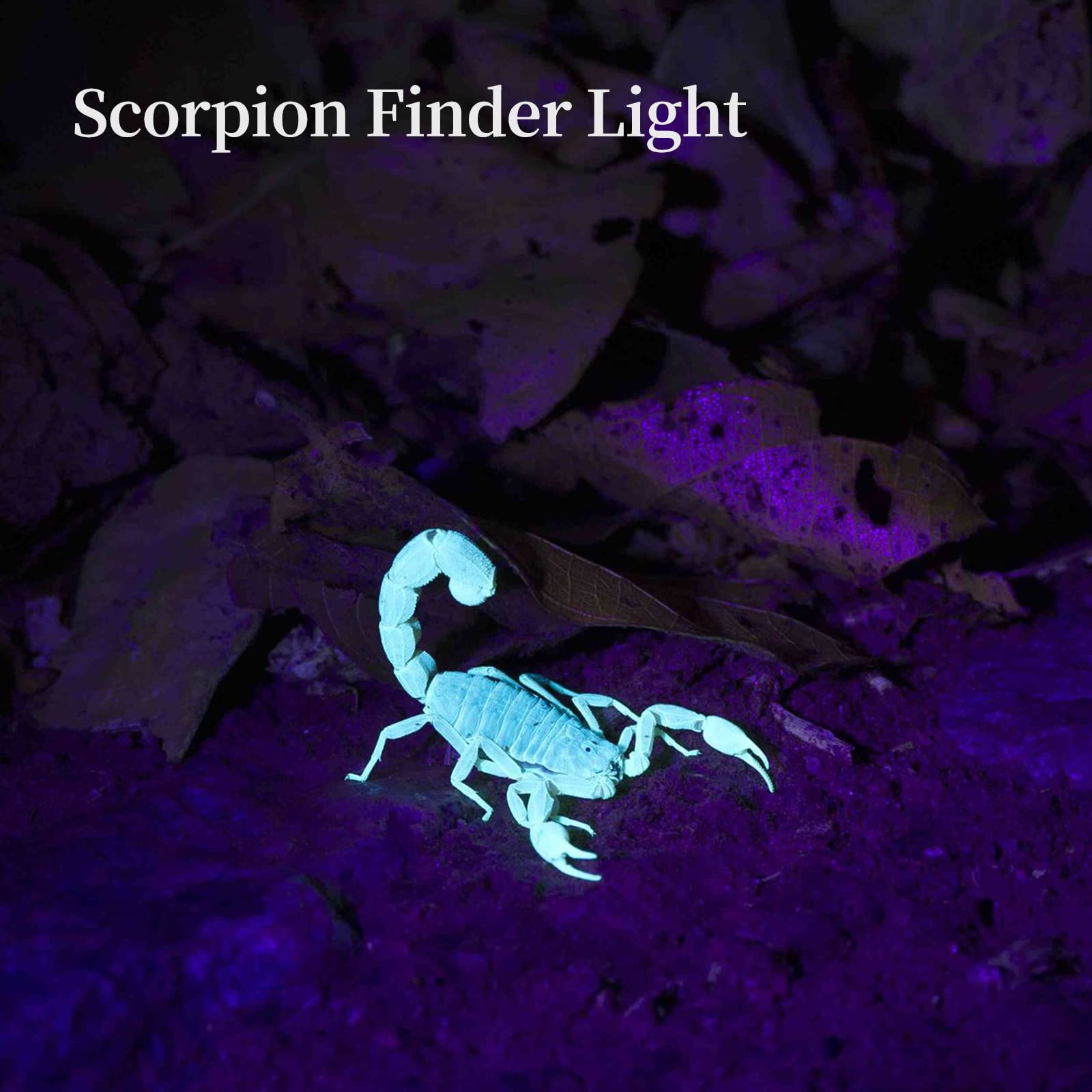 Tnatra Uv 365Nm 395Nm Blacklight Flashlight For Uv Glue Curing,Rocks & Minerals Hunting,Pet Stain Detector,Scorpion Finder, Dry Stain, Portable,Zoomable Handheld Ultraviolet Flashlight Black Light