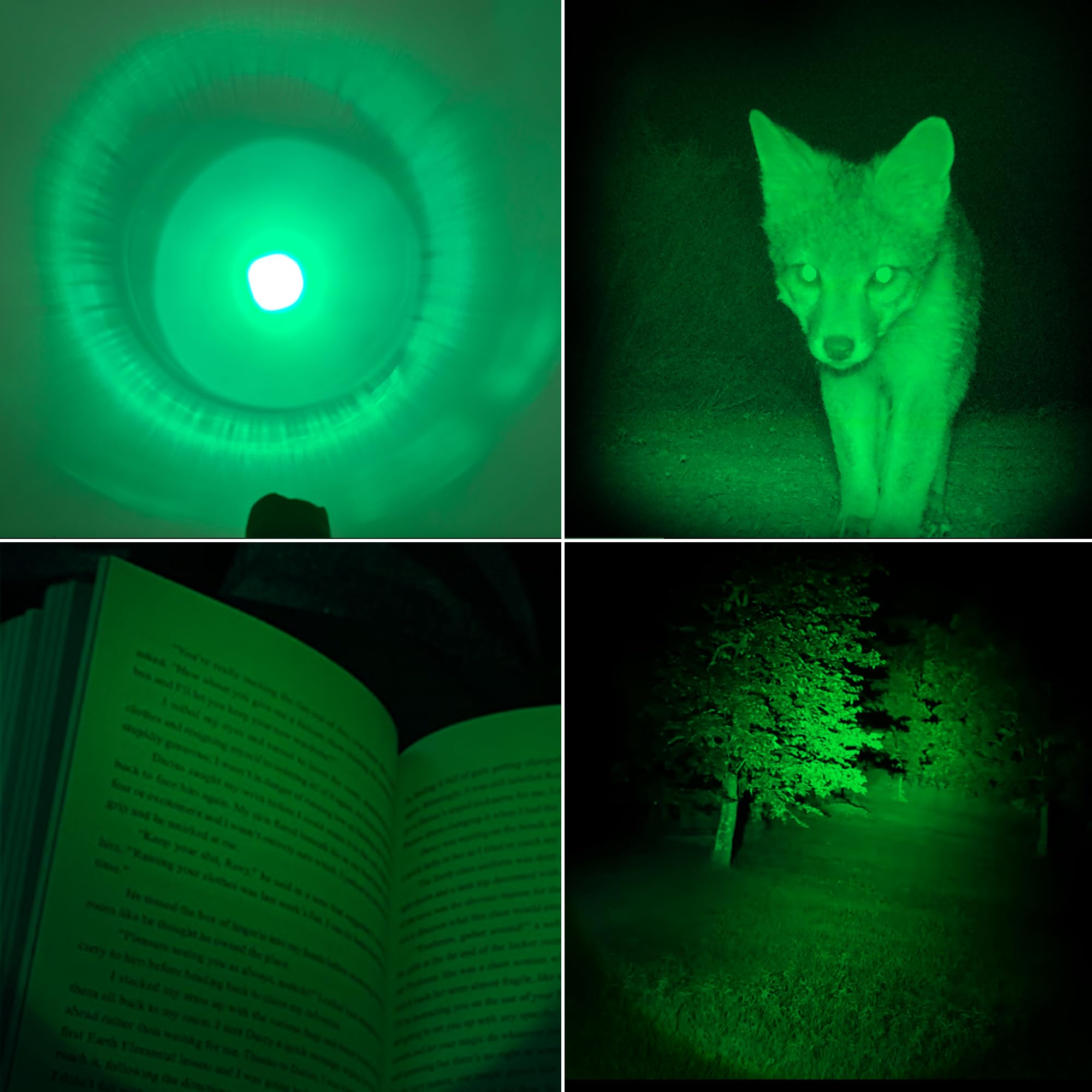 Xinfeibei 3 Pack Led Flashlight, Single Mode Red Green Blue Flashlight - Portable Mini Light Zoomable Flashlight For Fishing Outdoor Camping Hunting Emergency Lighting