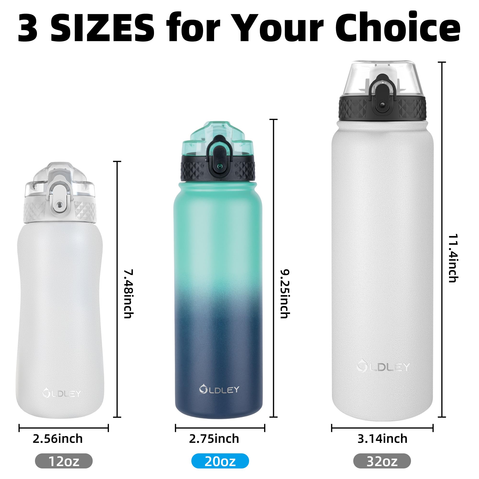 Oldley Insulated Water Bottle 20Oz For Adults Kids Stainless Steel Water Bottles With Straw/Chug