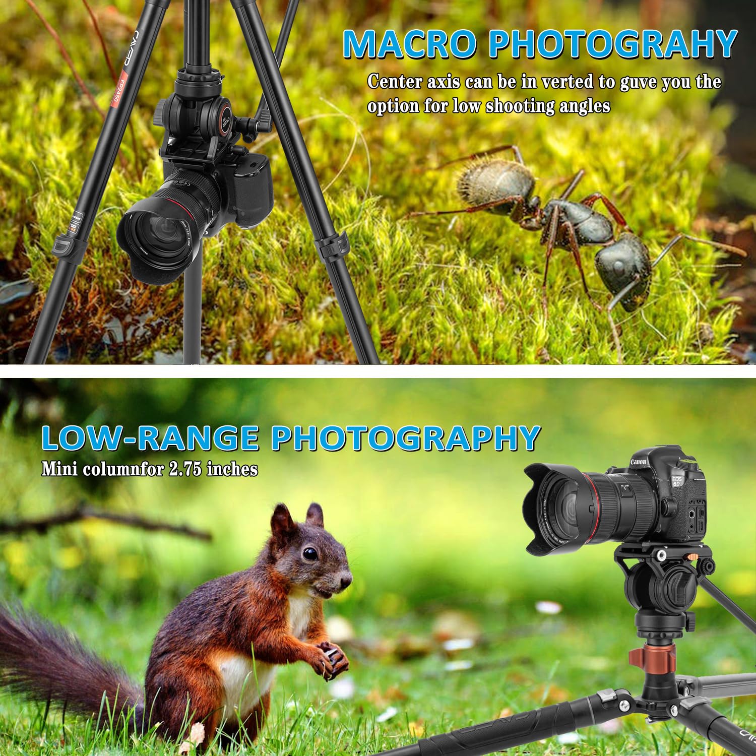 Cayer Af2451 Video Tripod With Fluid Head, 74.6" Convertible Aluminum Tripod To Monopod, 13.2 Lbs Payload, Half Ball Leveling Base For Dslr Cameras And Video Recording