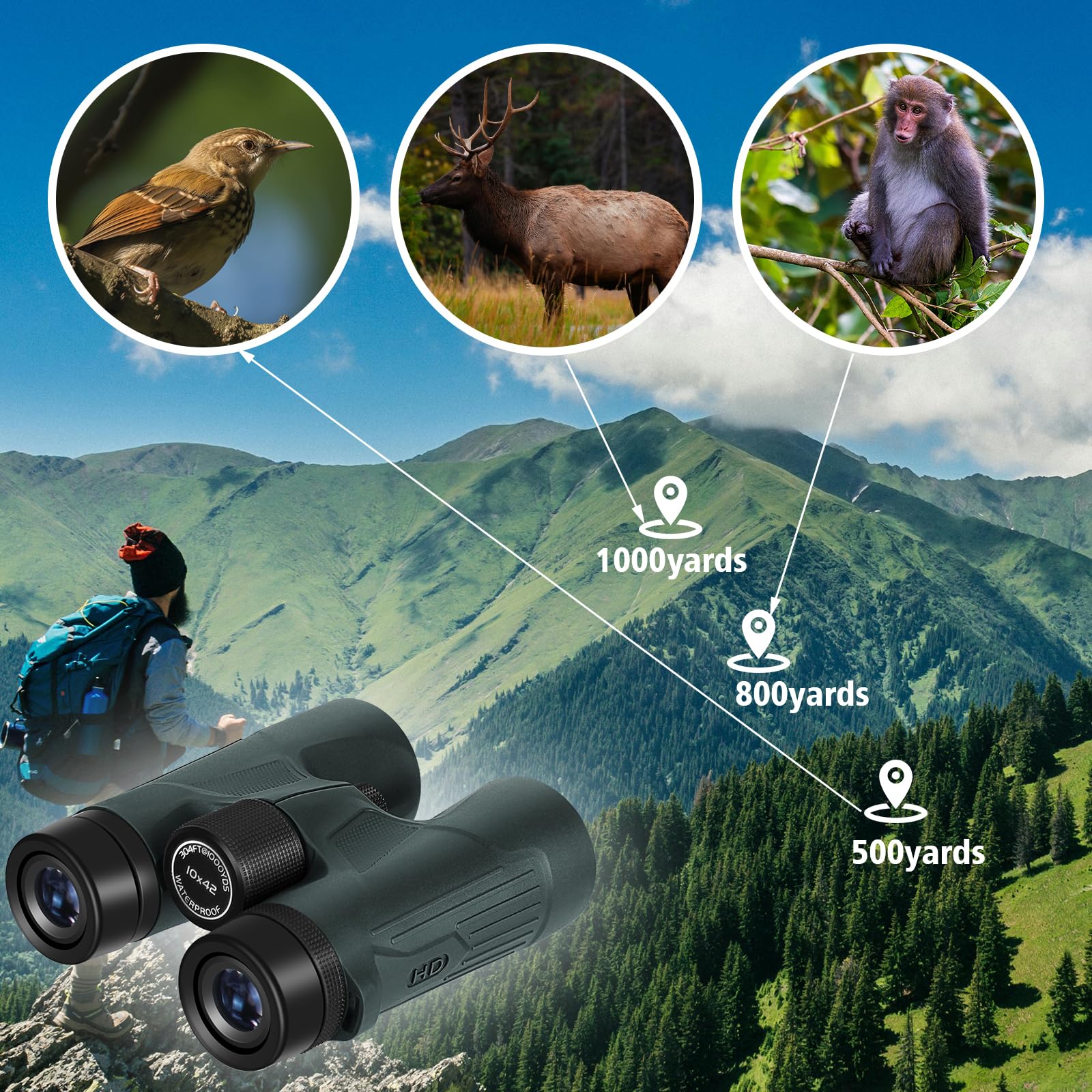 Celticbird 10X42 Hd Binoculars For Adults High Powered With Phone Holder, Bak4 Prism Waterproof Travel Binoculars For Bird Watching Hiking Camping Wildlife Viewing Outdoor Concerts Sports