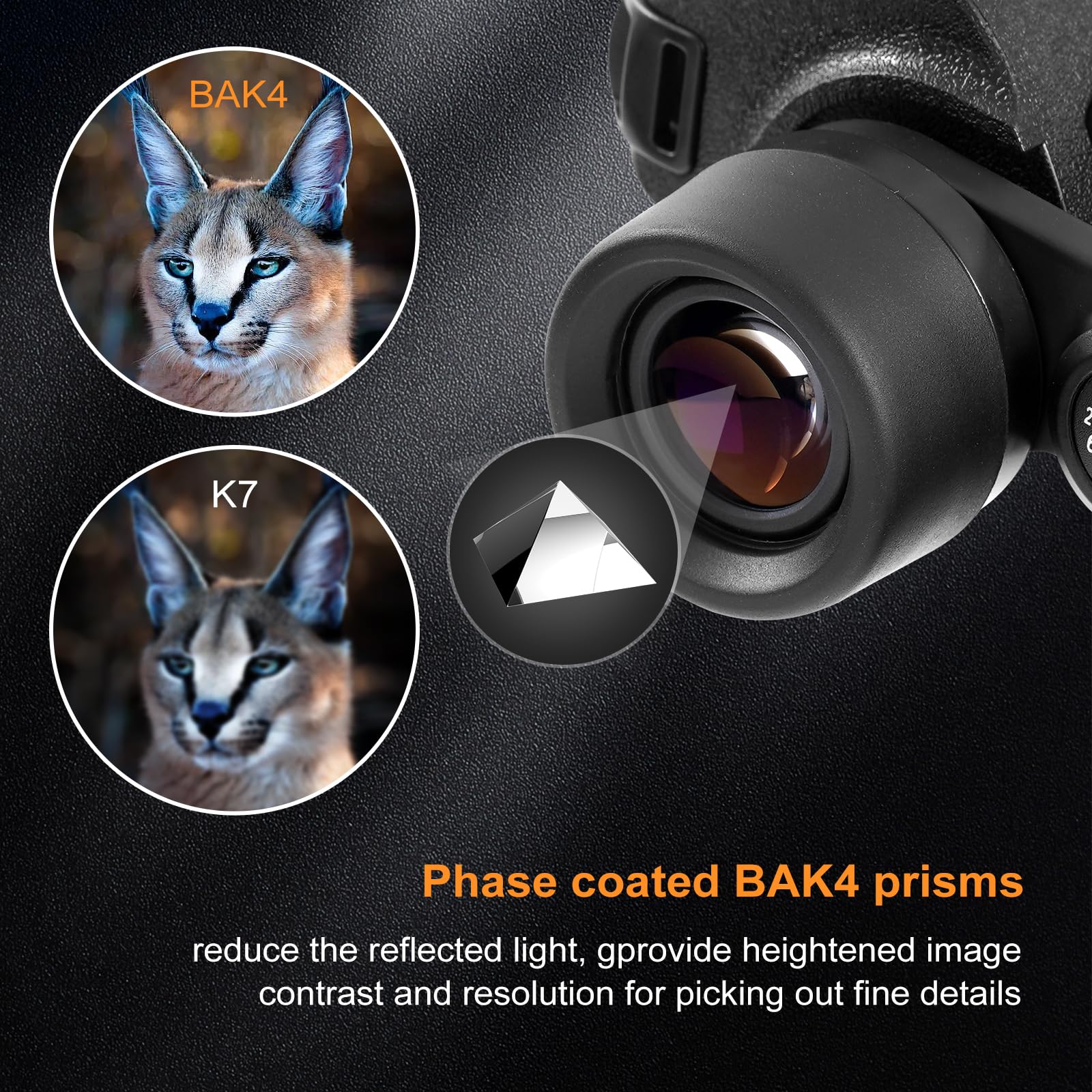 Damenverra 16X50 Binoculars For Adults High Powered - Fmc With Bak 4 Prisms - Large View Waterproof Ed Binoculars With Clear Low Light Vision For Bird Watching, Hunting, Traveling, Stargazing