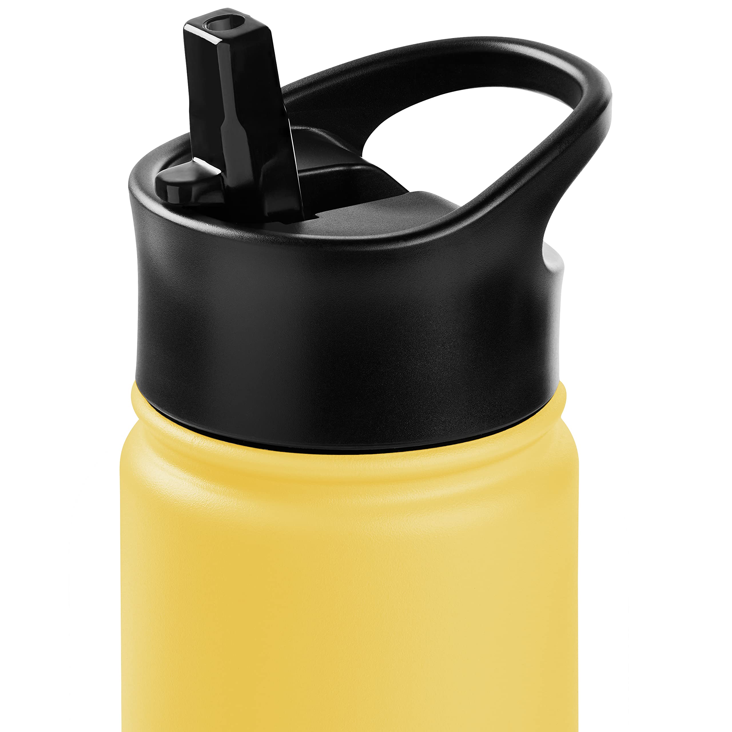 Retrospec Alder Insulated Water Bottle With Straw Lid & Handle Cap - Stainless Steel Wide