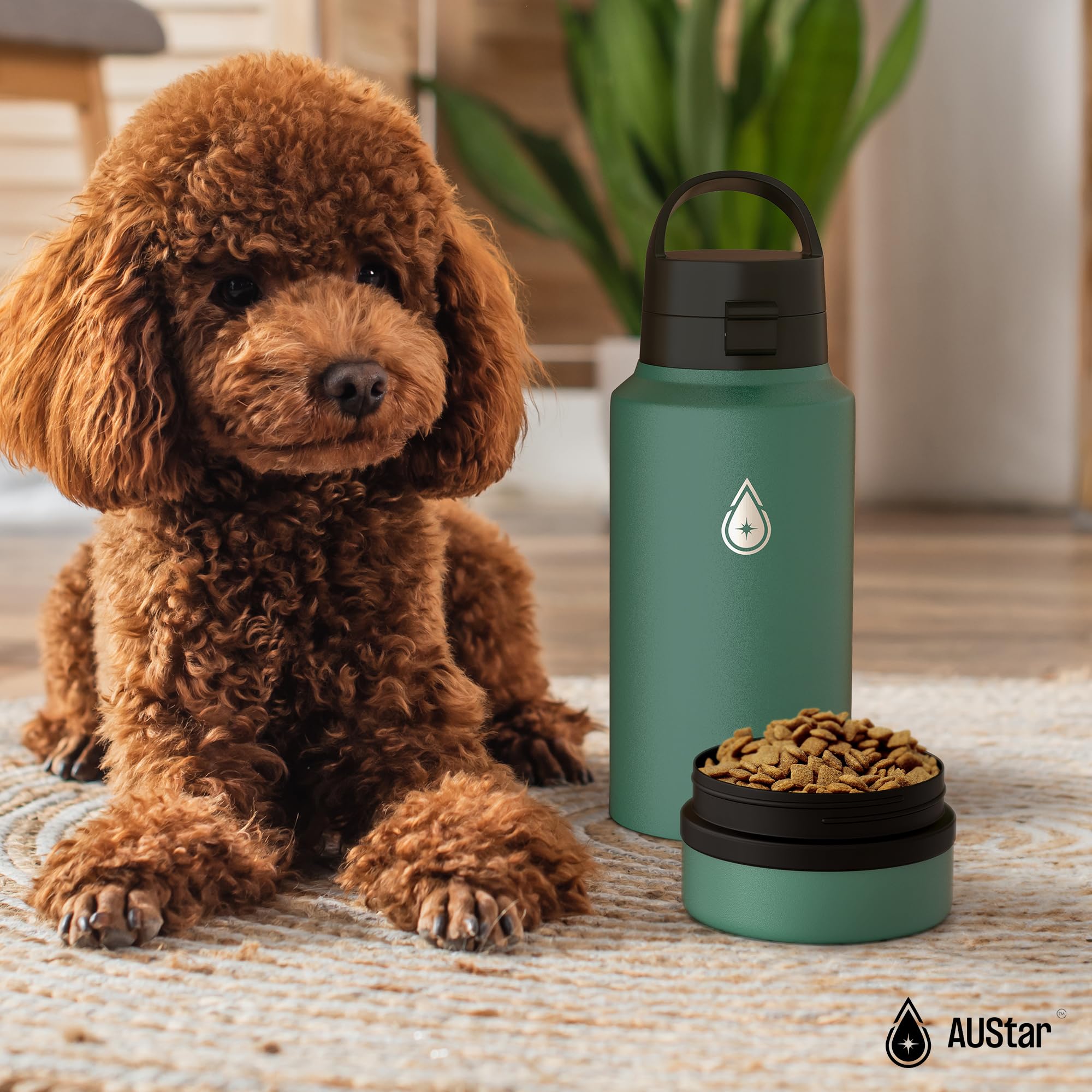 Austar 26Oz Sports Insulated Water Bottle With  Storage, Hot And Cold Water Bottle