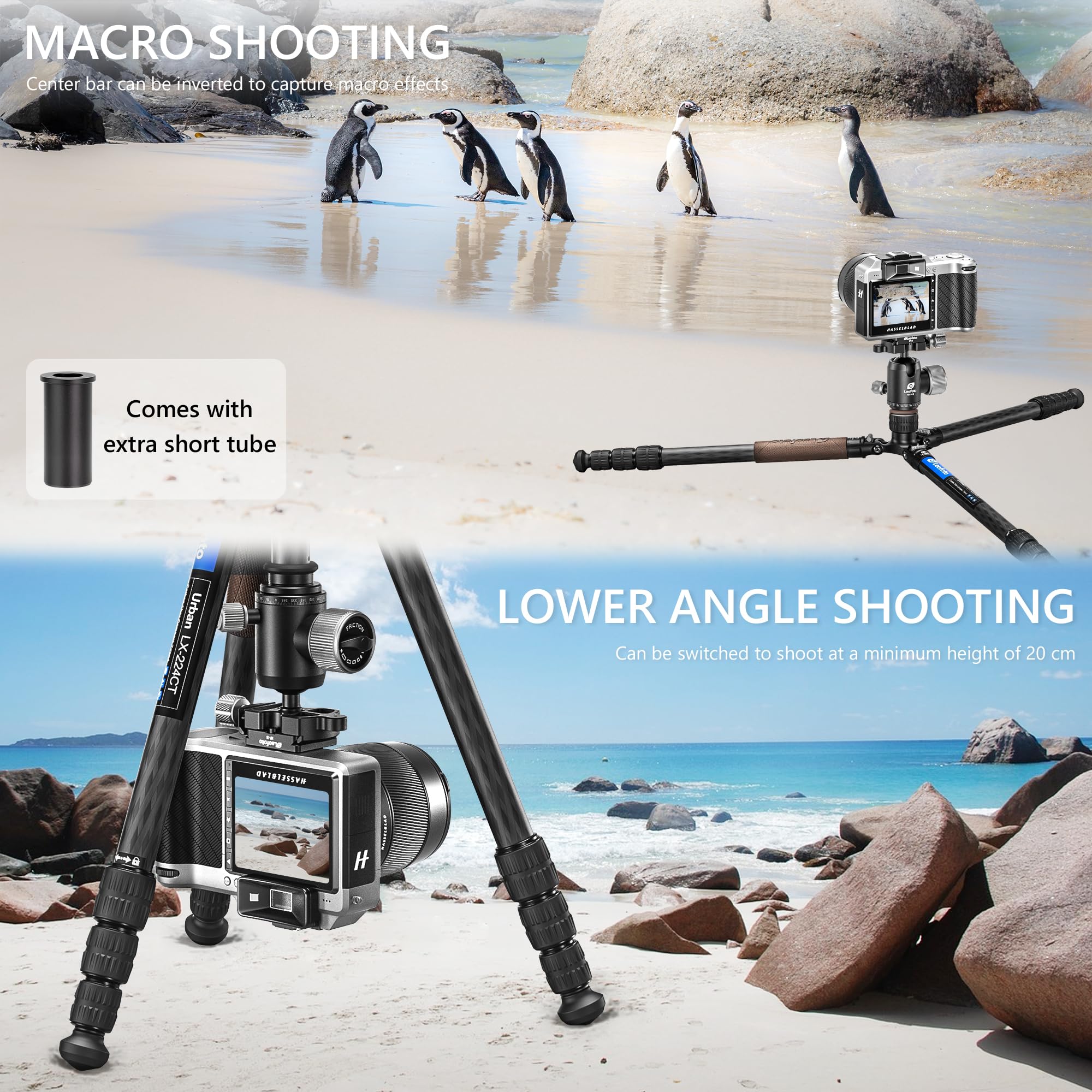 Leofoto Carbon Fiber Lightweight Travel Tripod With 360° Ball Head, Removable Center Column, Folded Height 37Cm, Weight 1.12Kg, Maximum Load 8Kg（Lx-224Ct+Xb-32Q）