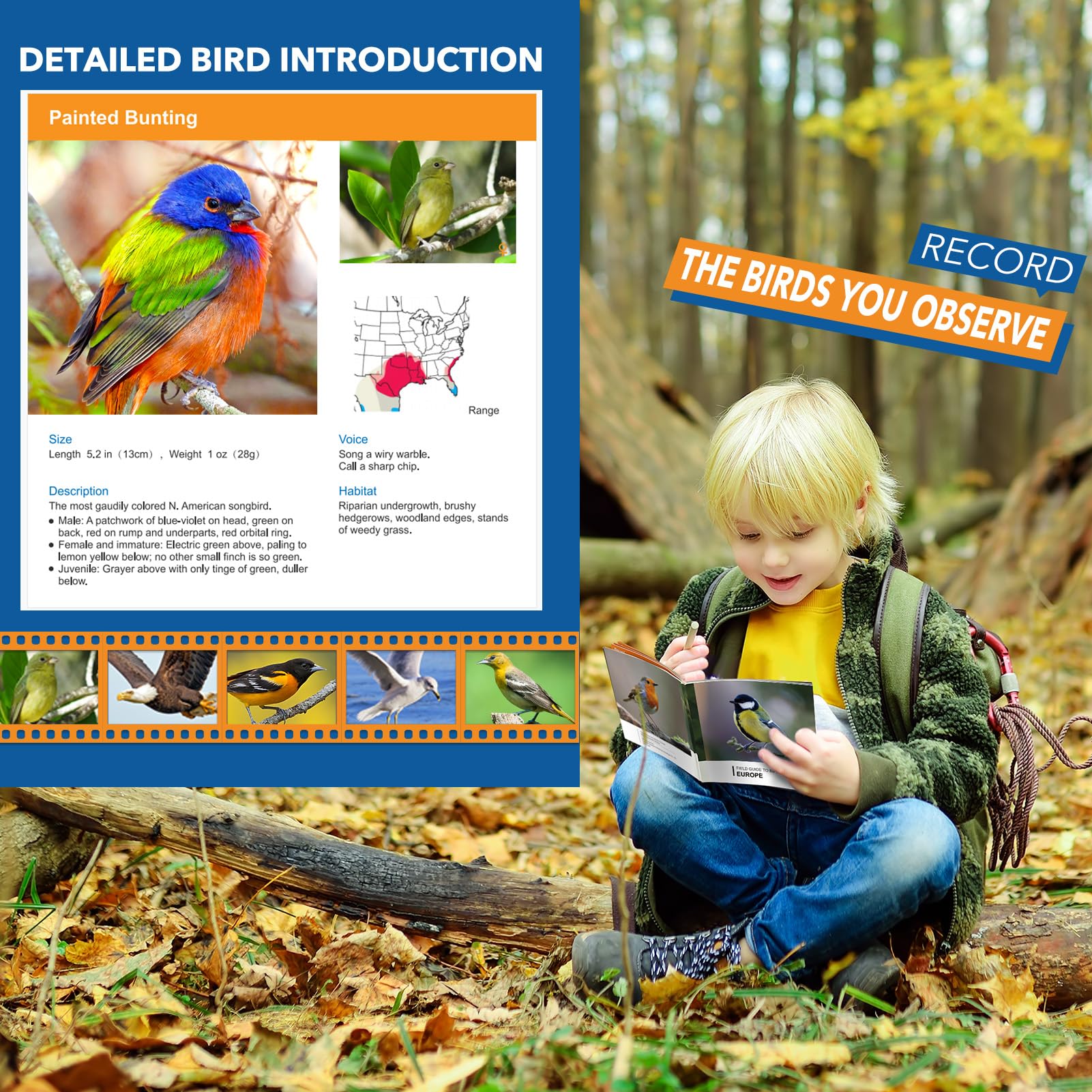 Let'S Go 3-8 Year Old Boy Girl Toys: Shockproof Binoculars For Kids Bird Watching Camping Hiking, 3 4 5 6 7 Year Old Boys Girls Toddler Outdoor Toy Travel Binoculars For Kid Ages 4-7