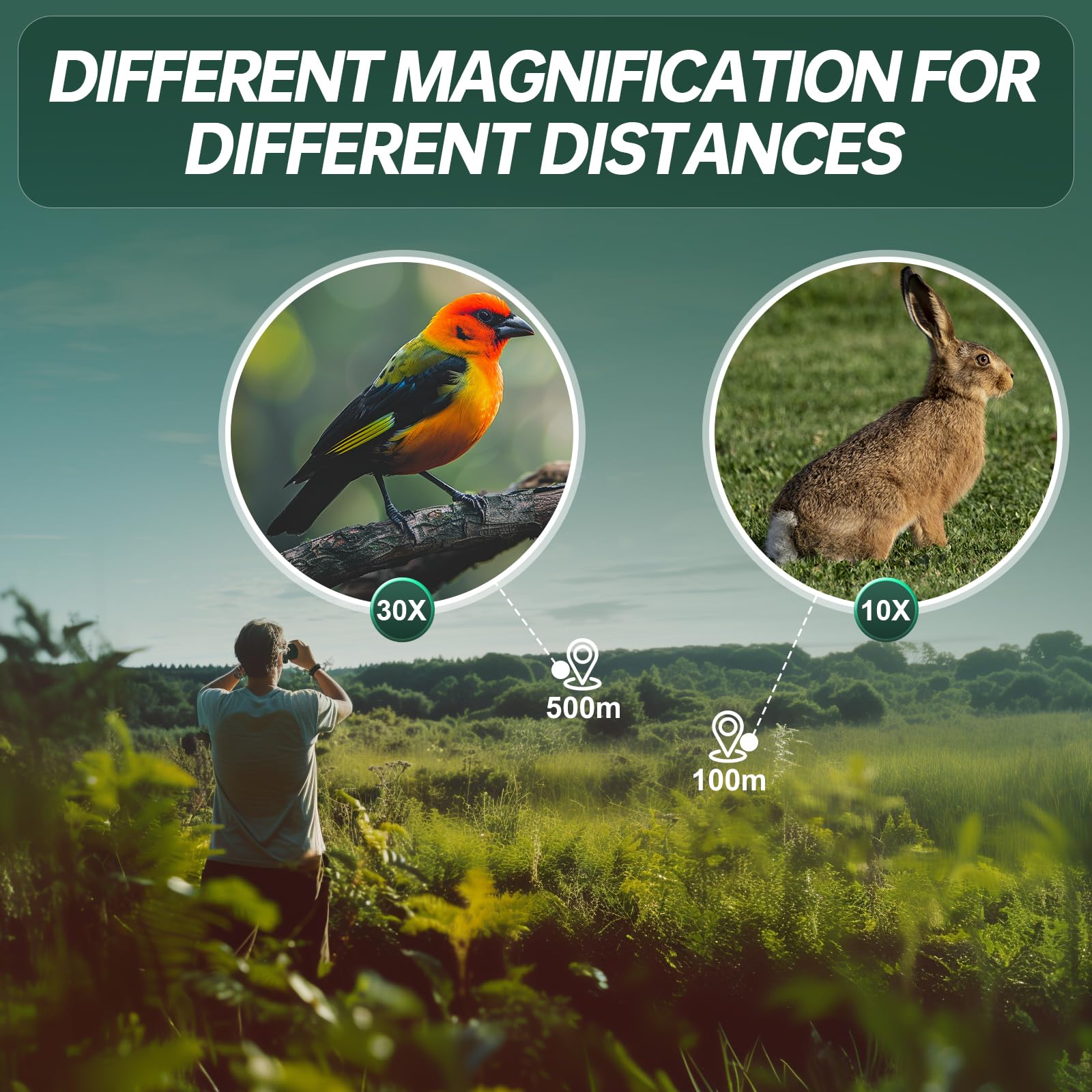 Wozel 10-30X25 Compact Binoculars For Adults Kids - High Powered For Bird Watching Hunting Hiking Travel - Zoom Binoculars With Large & Bright Field Of View, Green