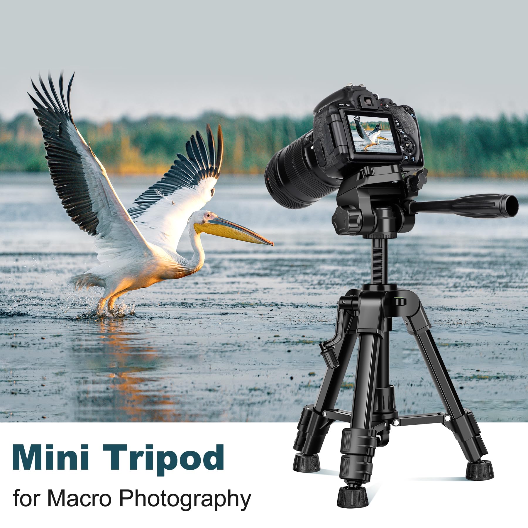Joilcan Mini Tripod For Camera, 25-Inch Aluminum Tabletop Camera Tripods, Portable Travel Tripod With Tablet/Phone Holder For Dslr Cameras, Phone, Projector, Spotting Scope