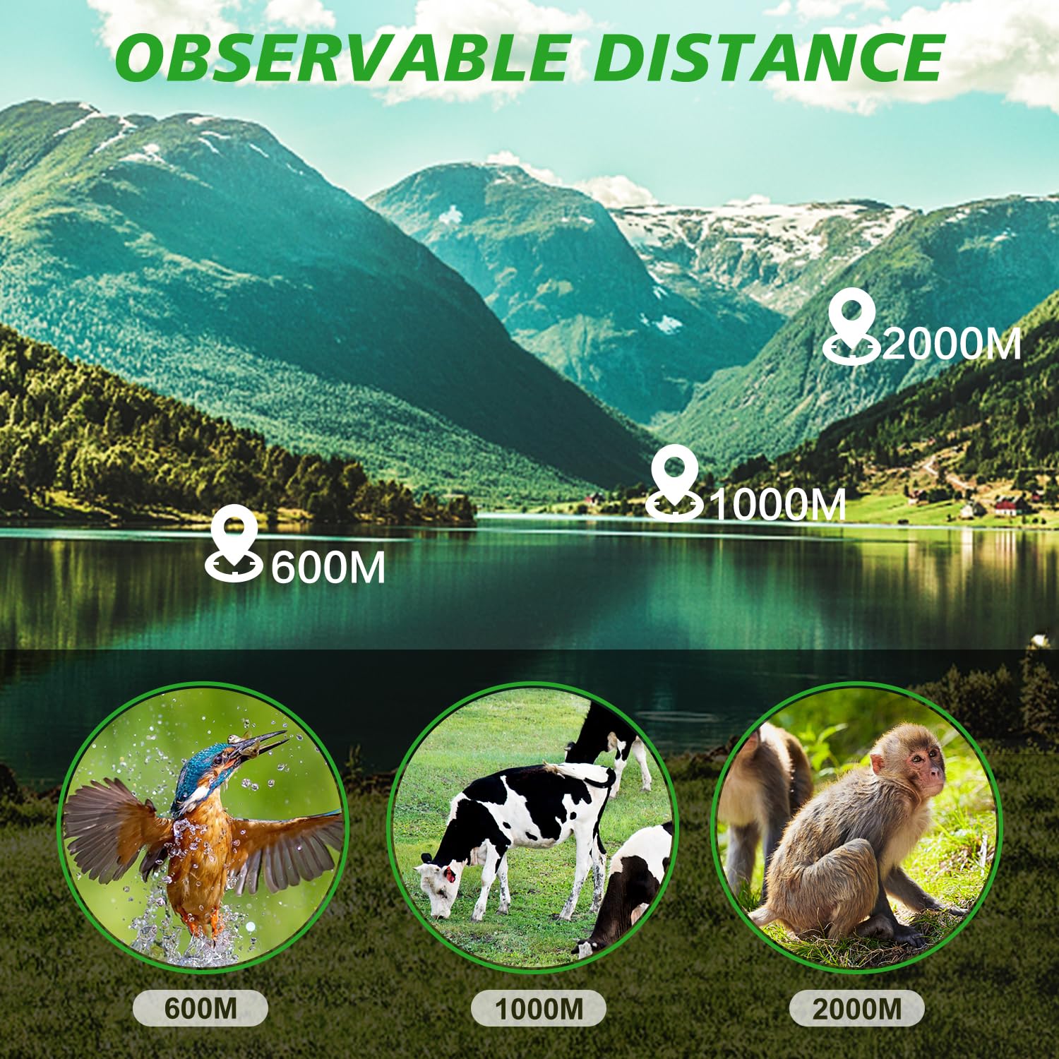 Riroma 16X52 Hd Monocular Telescope,High Power Compact Monoculars For Adults Kids, Hd Monocular Scope For Bird Watching Hiking Concert Travelling