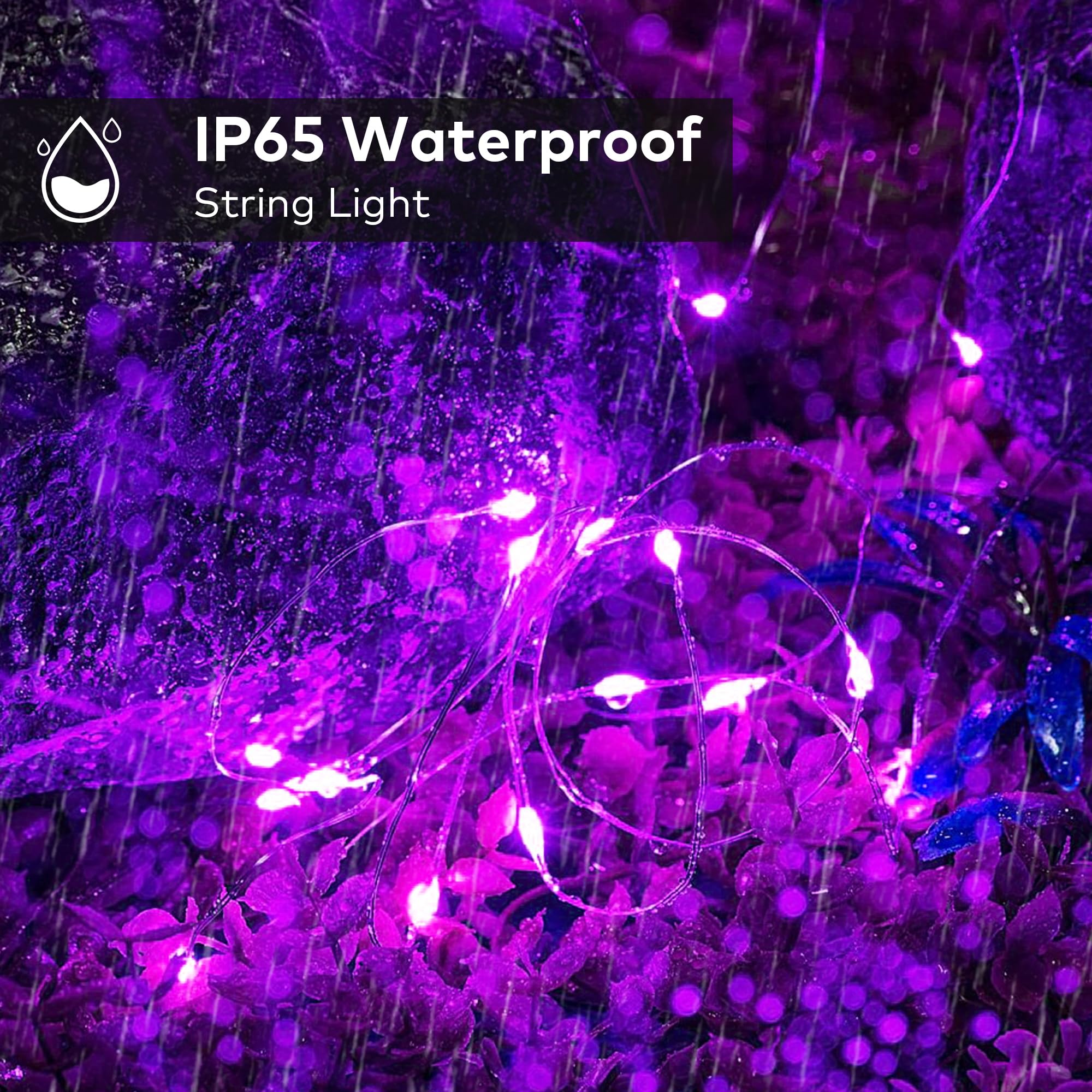 Ohlux 3 Pack Solar String Lights Outdoor, Total 99Ft 300Led Solar Powered Fairy Lights Waterproof, 8 Modes Christmas Lights For Christmas Garden Tree Wedding Patio Decor-Purple