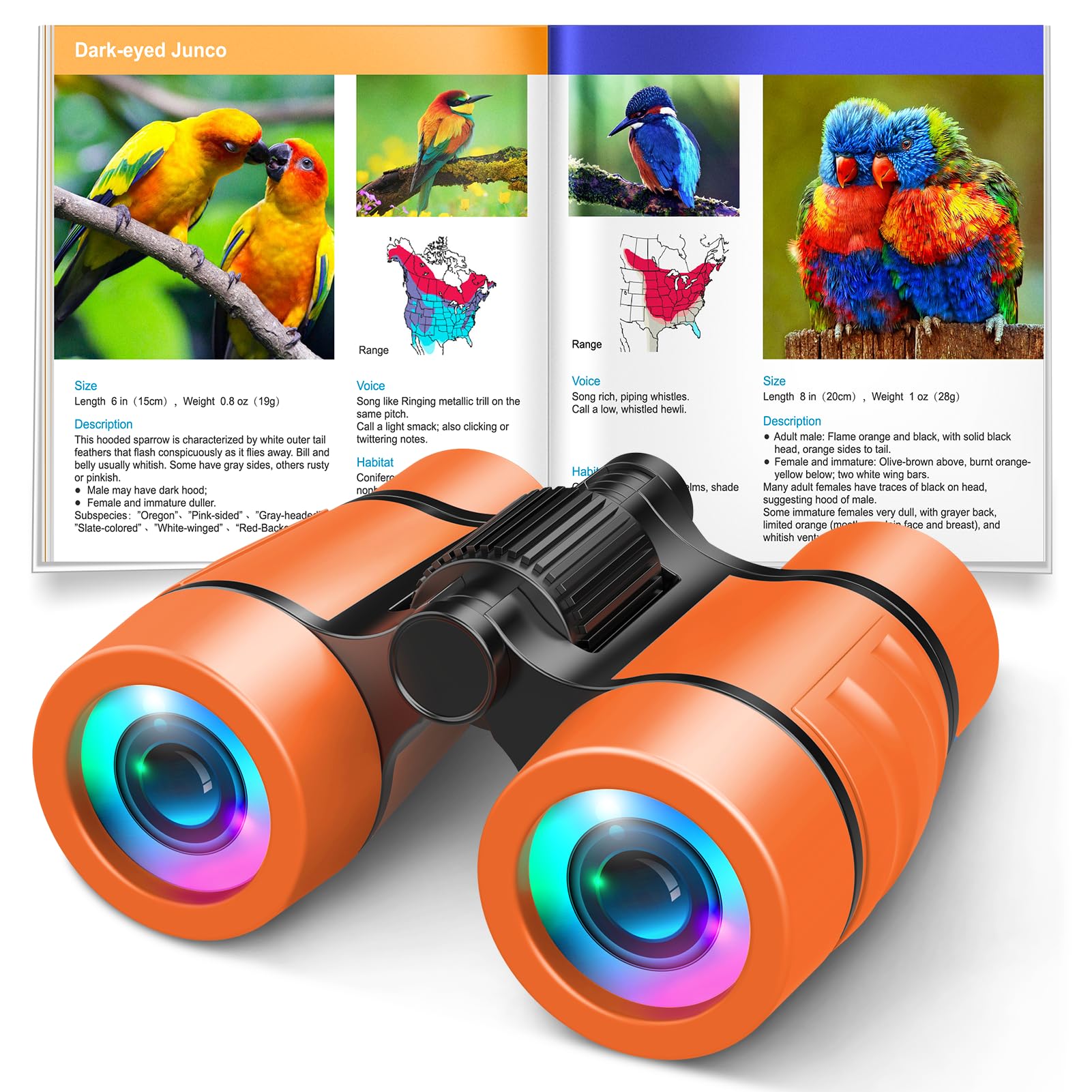 Let'S Go 3-8 Year Old Boy Girl Toys: Shockproof Binoculars For Kids Bird Watching Camping Hiking, 3 4 5 6 7 Year Old Boys Girls Toddler Outdoor Toy Travel Binoculars For Kid Ages 4-7
