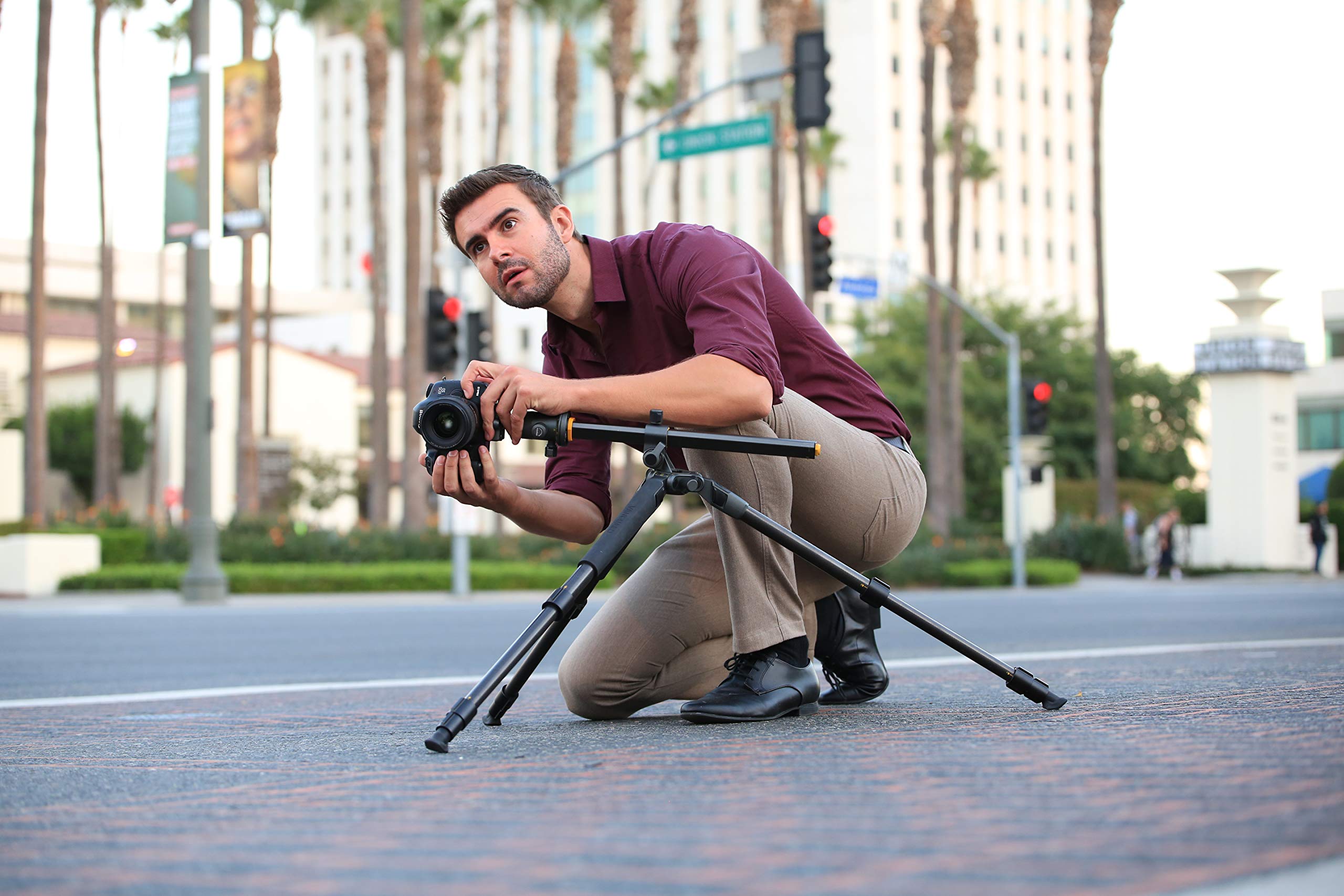 Vanguard Alta Pro 2+ 263Ab 100 Aluminum Tripod With Alta Bh-100 Ball Head And Multi-Angle Center Column