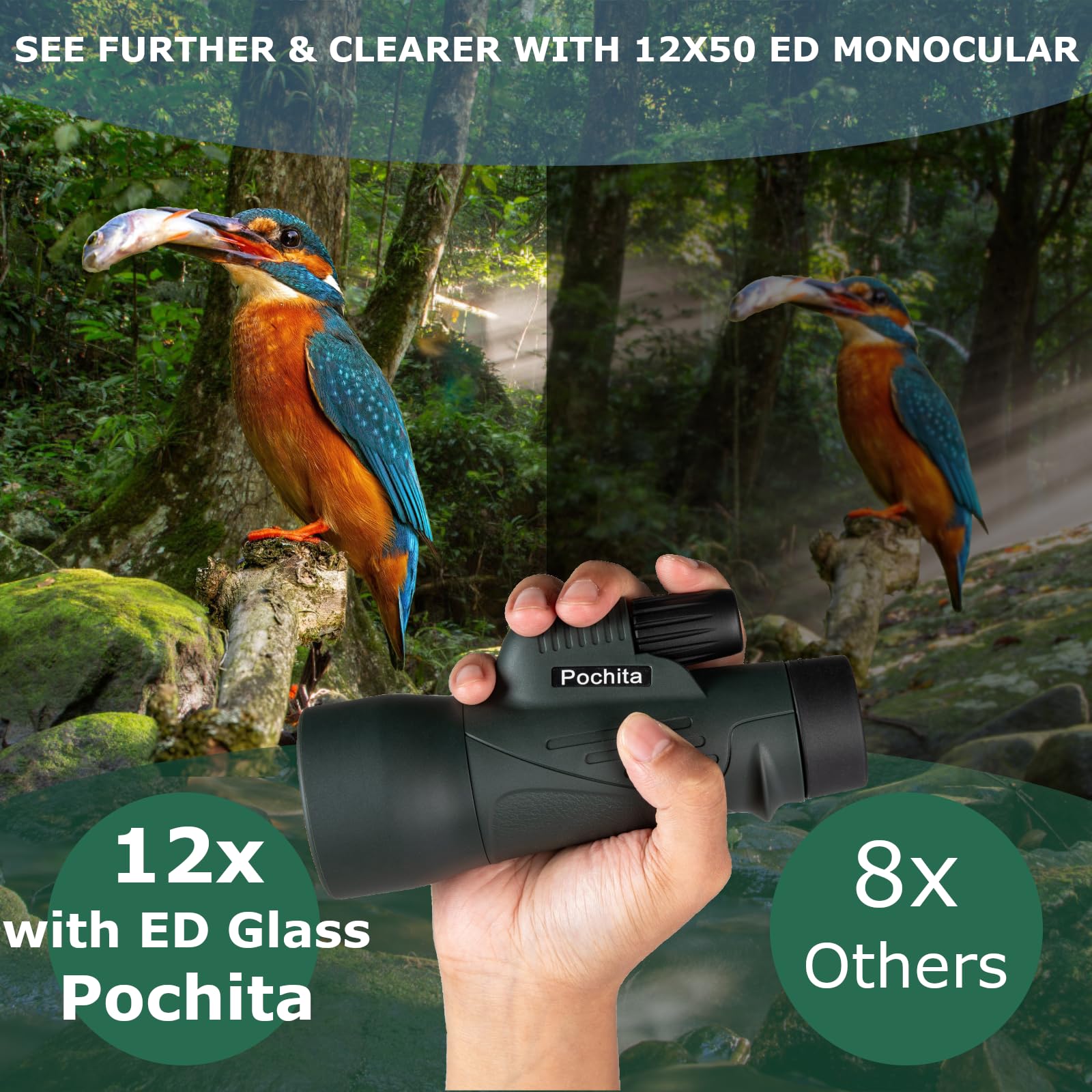Pochita Global 12X50 Ed Monocular Telescope For Adults, High Powered Monocular With Bak4 Prism & Fmc Lens, Waterproof Handheld Telescope For Bird Watching, Hunting, Hiking, Travel