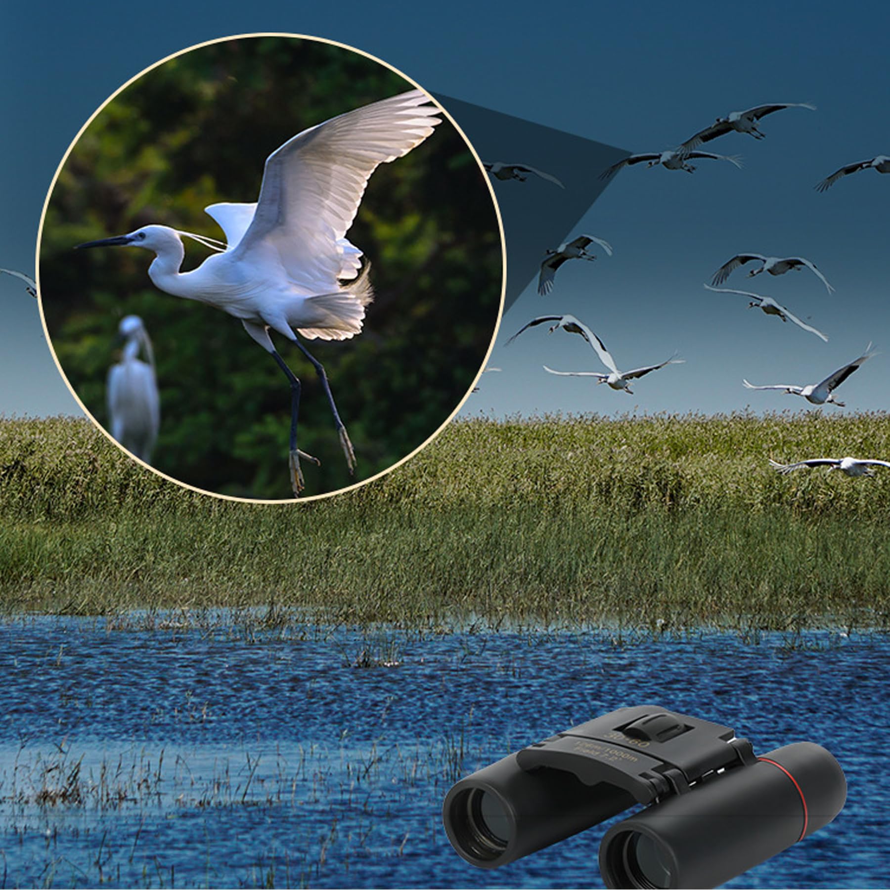Yourelexit Binoculars For Adults, Compact Small Pocket Mini Travel Binocular For Bird Watching Concert Theater Opera High Powered Electronic Cruise Ship Essentials Norwegian Alaska Must Haves Hiking Camping Gear