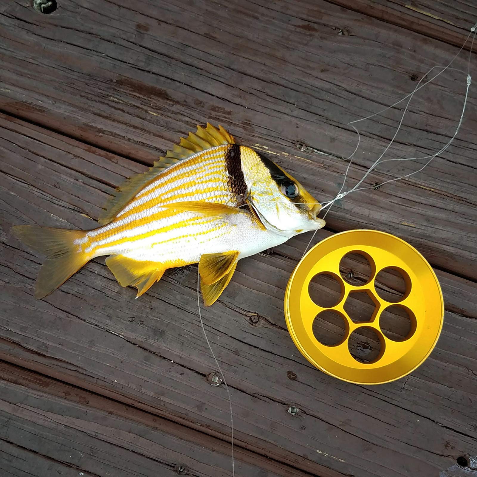 Yoyito Aluminum Hand Line Reel Pocket/Travel Fishing Kit (20 Lb Clear Line)
