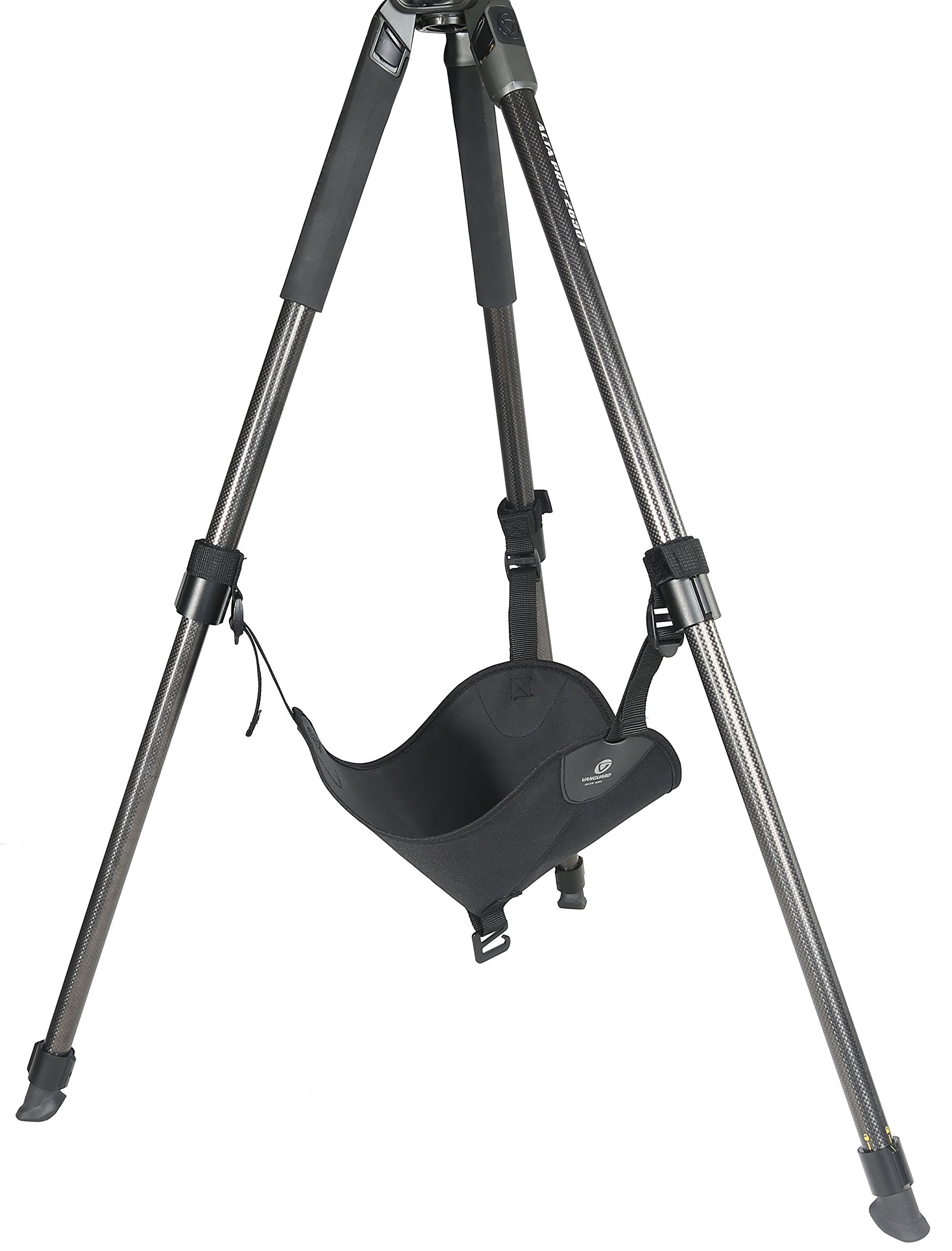Vanguard Alta Sbl Tripod Stone Bag, Large