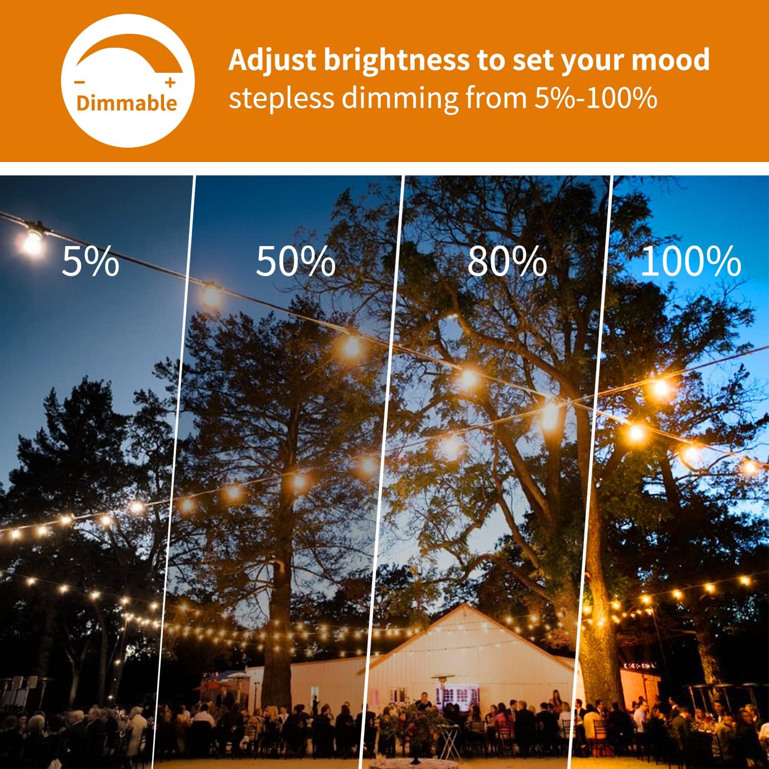Rtty Solar String Lights Outdoor Waterpoof 50Ft With 25Pcs Dimmable Shatterproof St38 Vintage Bulb,Remote Solar Powered Bistro,Cafe & Patio Lights, Black, Cmrc-O251