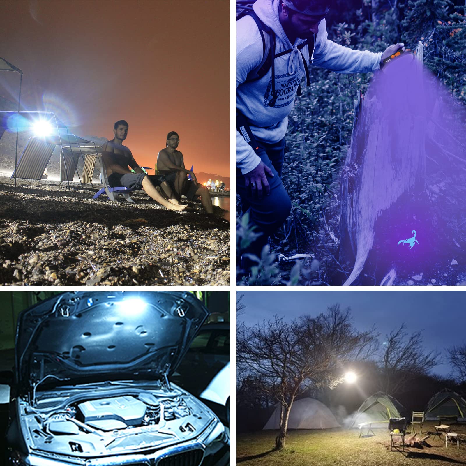 Iodoo Uv Flashlight Camping Light , 10000Mah 48 Led 395Nm Uv / 6500K Floodlight 3000Lm White Light Pet Urine Detector For Dog/Cat Urine, Dry Stains, Bed Bug