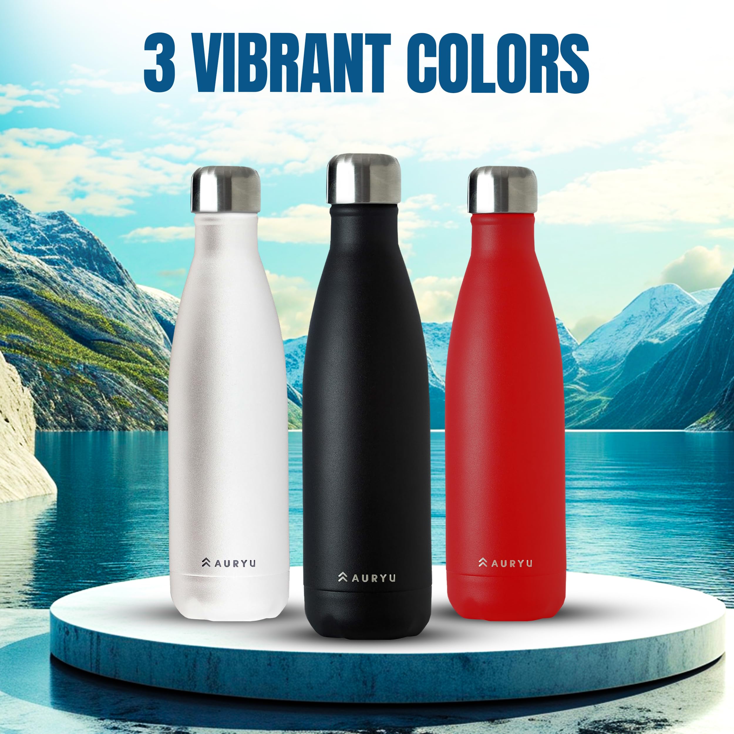 Triple Insulated Stainless Steel Water Bottle, Buy Our Best In Class, Keeps Your Drinks Cold