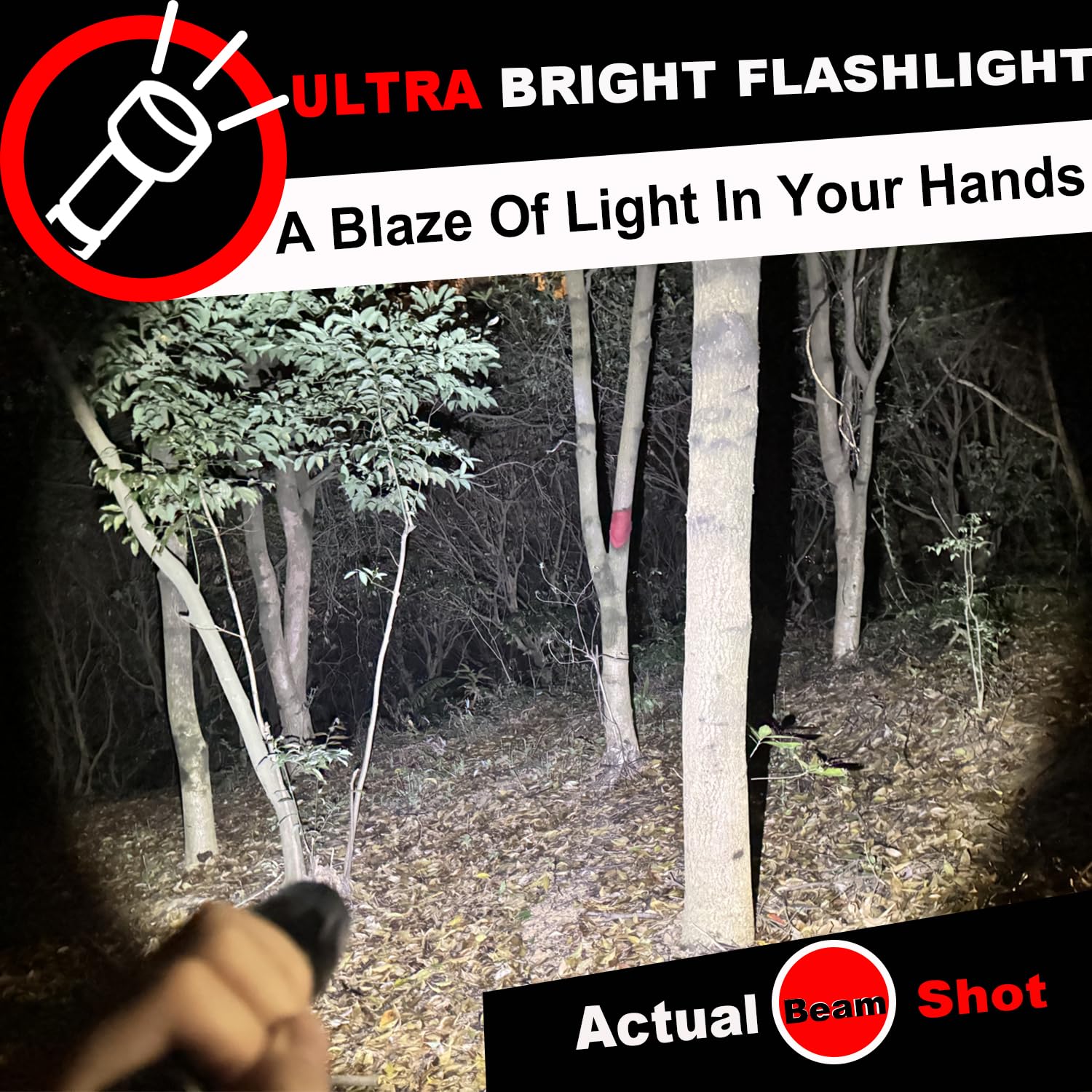 Hinsgear 1 Mode Flashlights 4 Pack, Super Bright Zoomable Led Utility Flashlight High Lumens, Water Resistant Portable Pocket Flash Light For Emergency, Camping, Home, And  - Sl2000