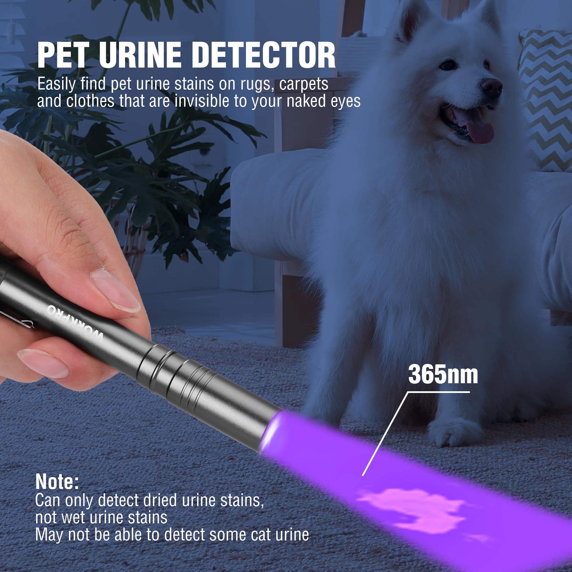 Workpro Uv Black Light Flashlight, 2-Pack 365Nm Uv Pen Light With Clip, Mini Ultraviolet Flashlight For Leak, Pet Urine, Scorpion, Hotel Inspection, Dry Stain And Bed Bug