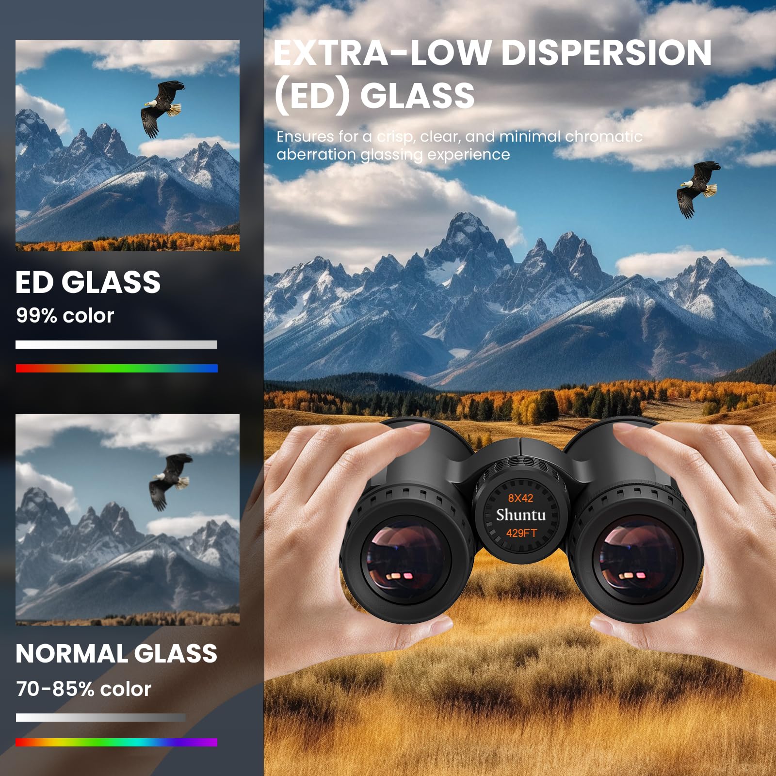 Peiketao Premium Ed Binoculars 10X42 For Adults - High Power Hd Waterproof Binoculars For Bird Watching, Hunting & Travel