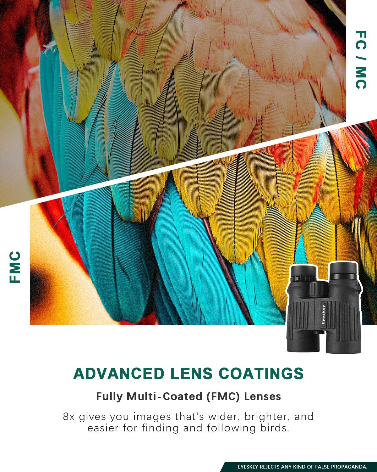 Eyeskey Professional 8X42 Binoculars Waterproof Fogproof For Adults Bird Watching Hunting Backpacking - Clear Bright Image - Wide Field Of View - Eay To Focus - Perfect For The Outdoors