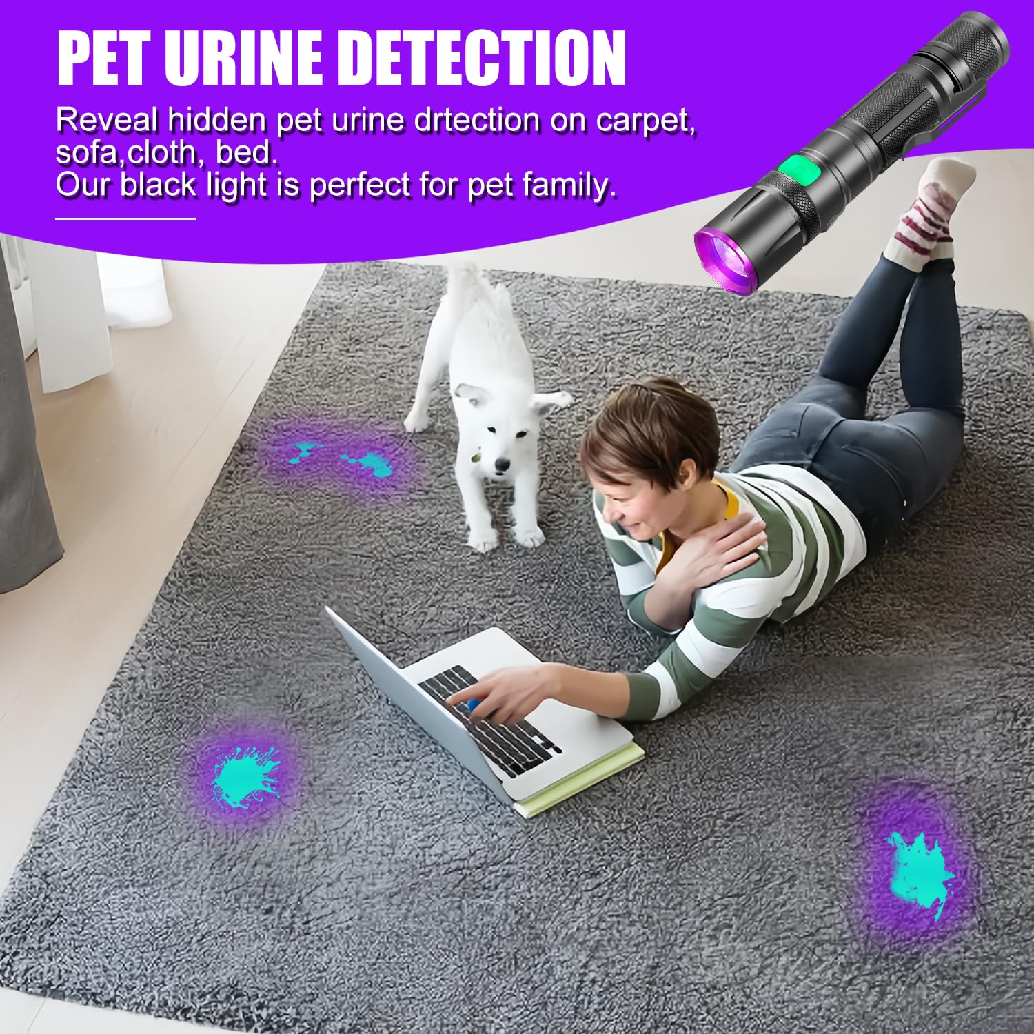 Annteneo Black Light Flashlight, 2Pack Uv Flashlights Usb-C Rechargeable 8Hours Long-Lasting Pure Ultraviolet Light, Fluorescent Detector For Dog,Pet Urine Stains,Flowers Glows,Uv Paint Glows,Hornworm